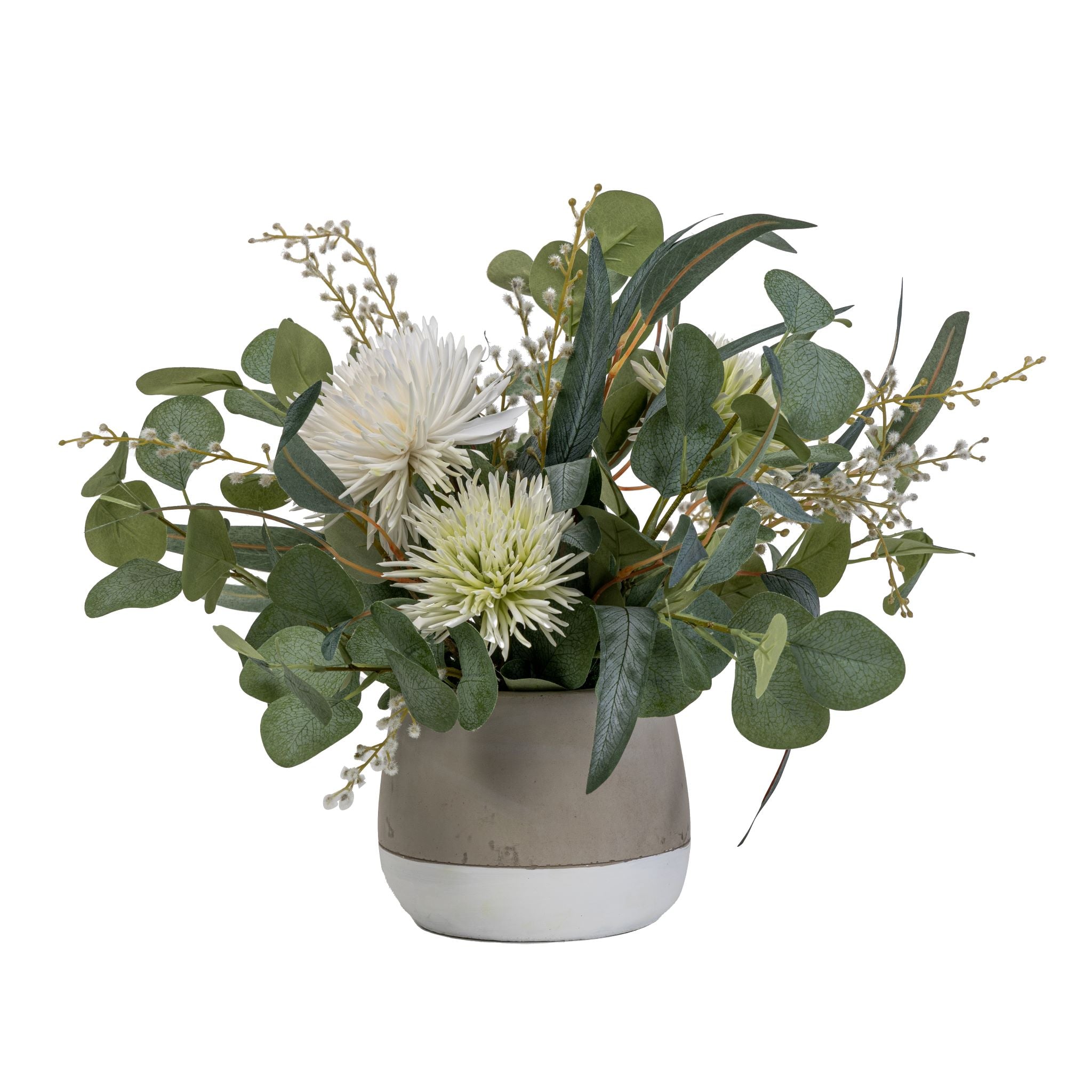 6" Ellie Pot with Eucalyptus and Mums Arrangement AR1558