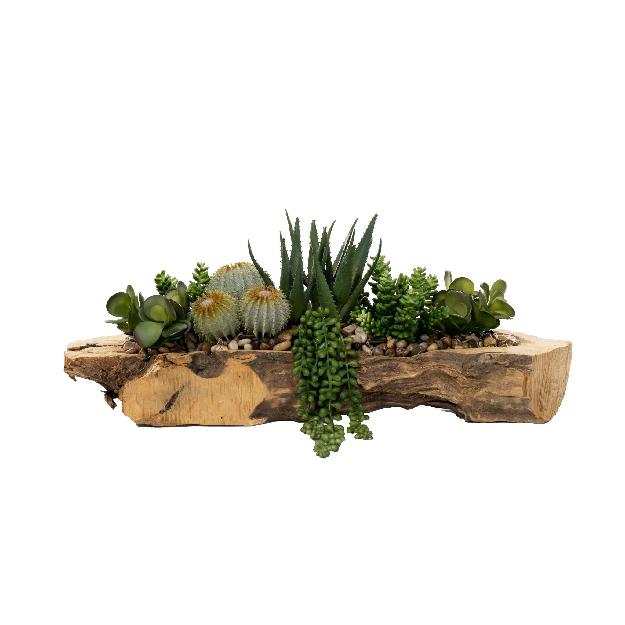 22" Charleston Driftwood with Cactus and Succulents AR1566