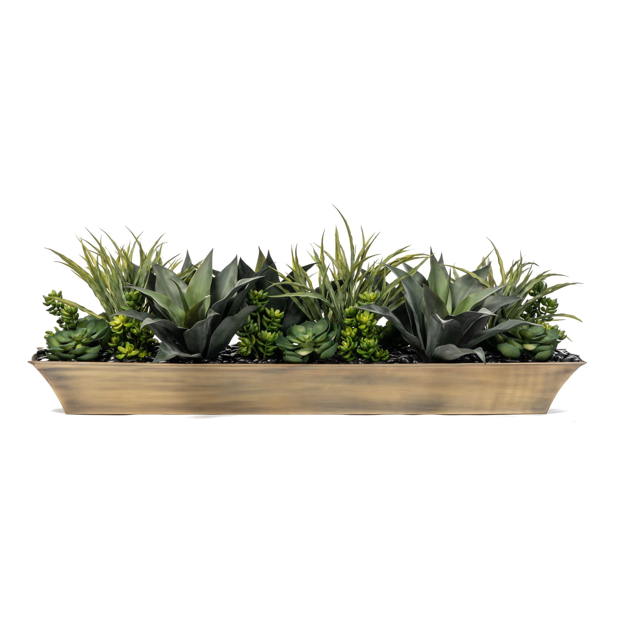 Succulent Arrangement in Luxe Brass Planter AR1571