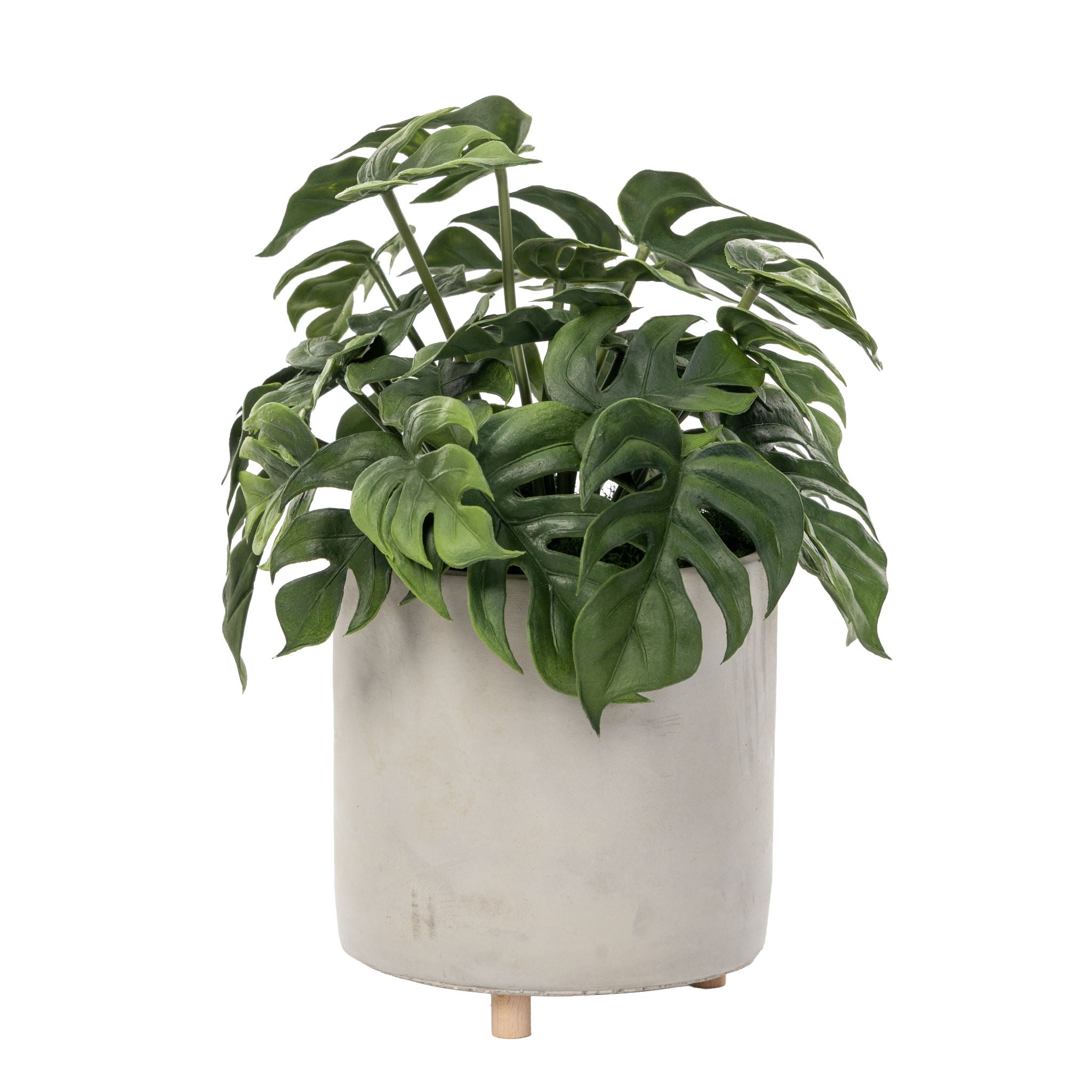 13.5" Philodendron Bush in Corbin Pot AR1572
