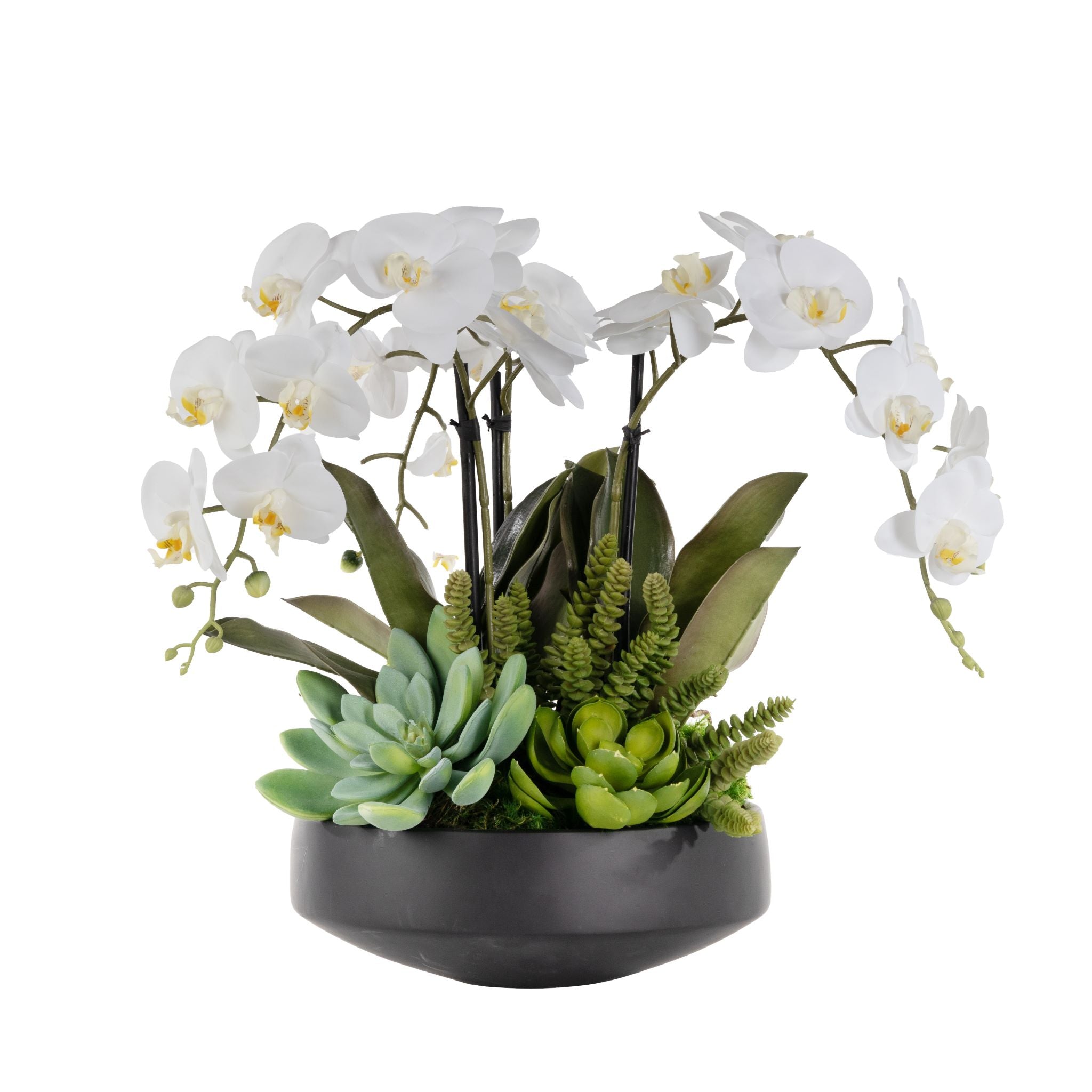 13" Black Edison Bowl with Orchid Arrangement AR1575