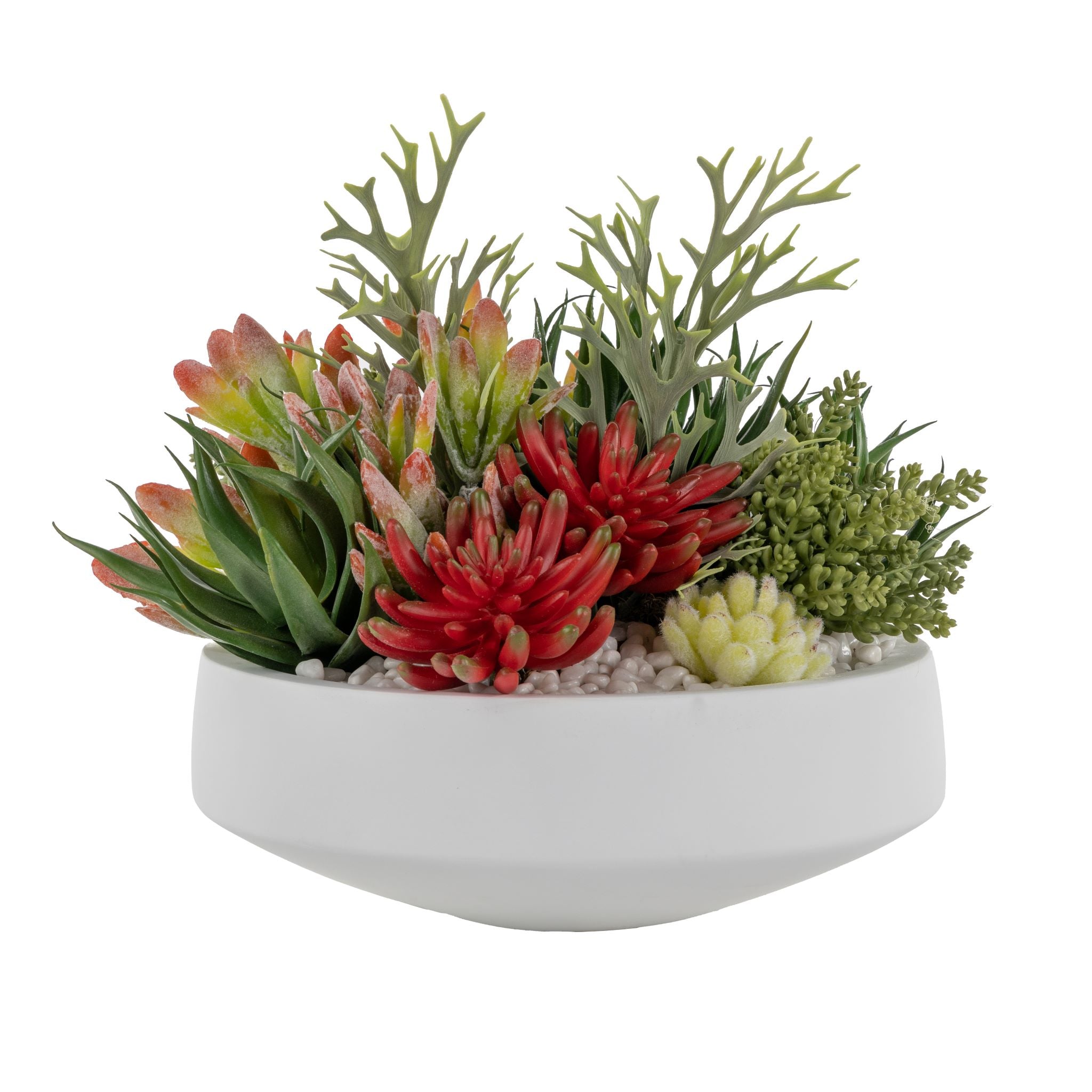13" White Edison Bowl with Red Succulents AR1578