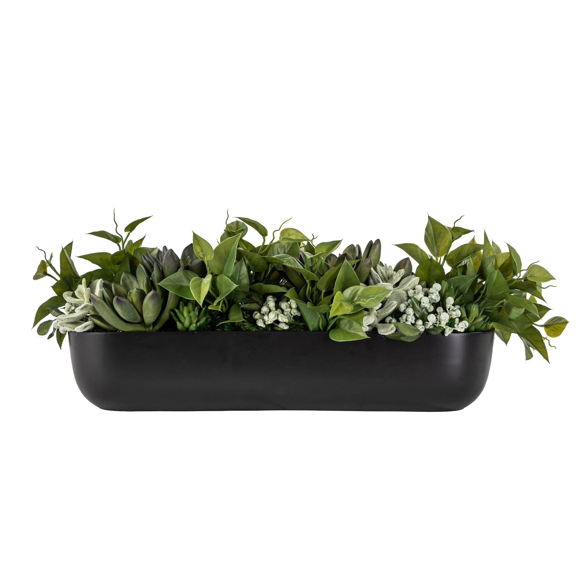succulents in trough 24" Olivia Metal Trough with Succulents AR1582