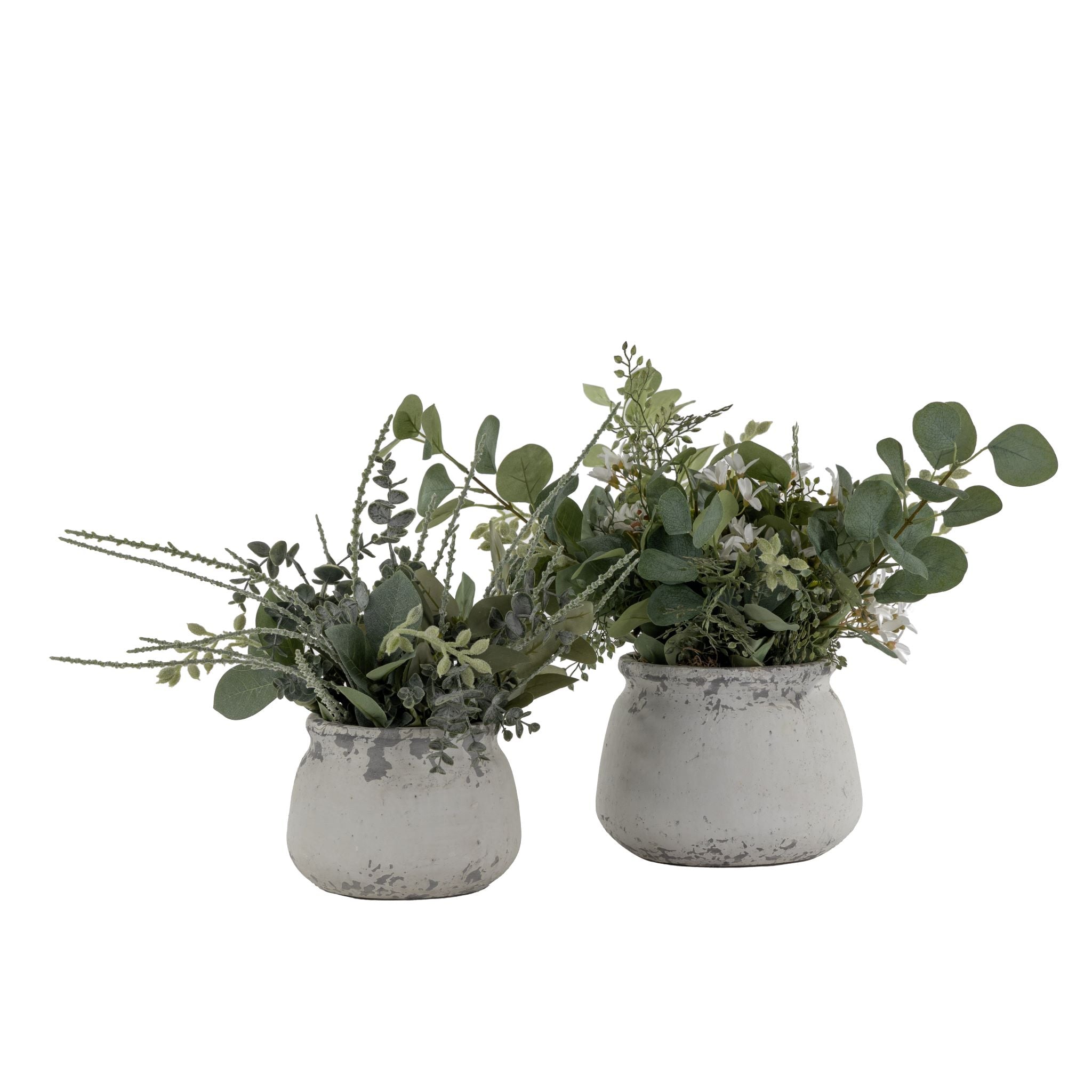 Shabby Pot Duo Arrangement AR1585