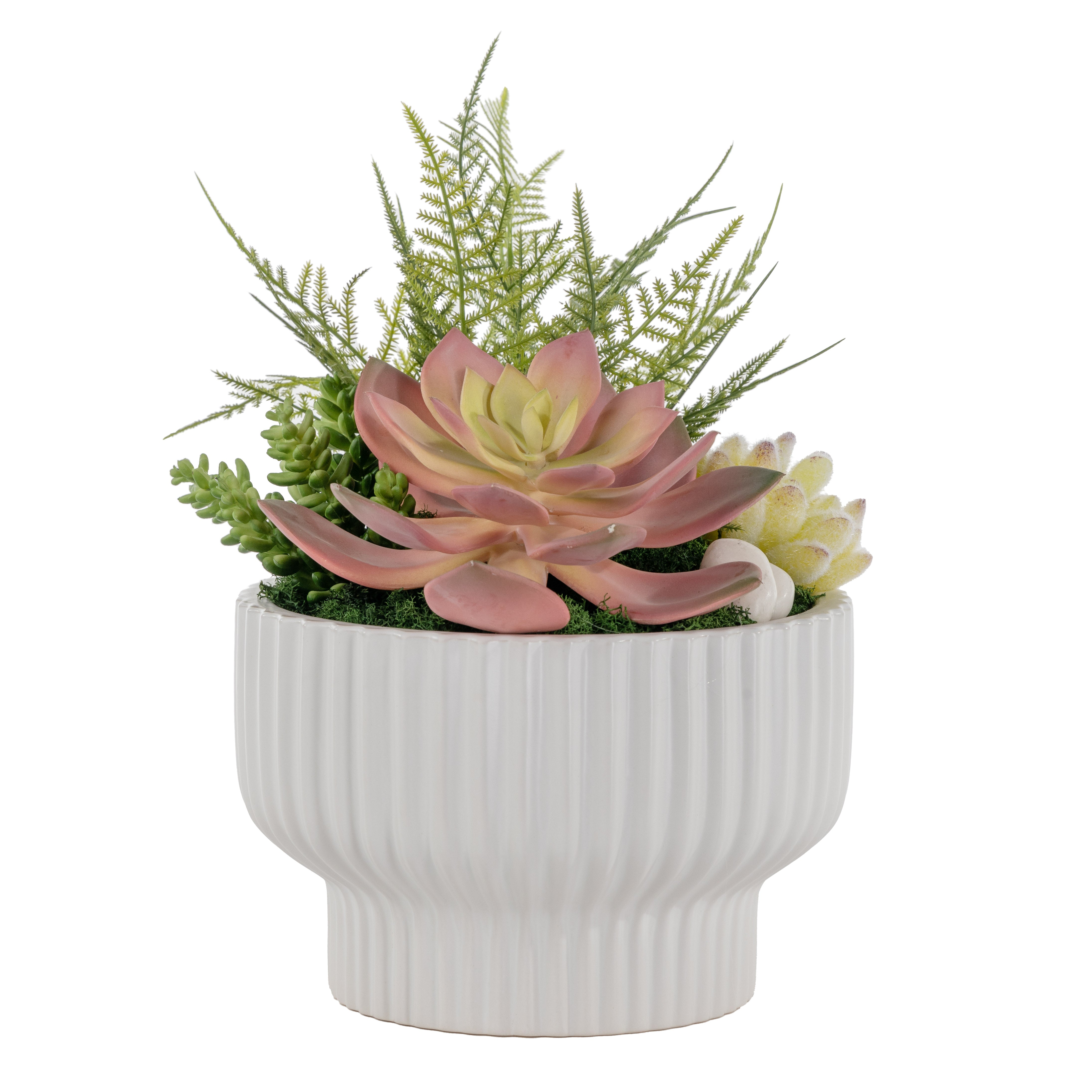8" White Wally Bowl with Succulents and Fern AR1588