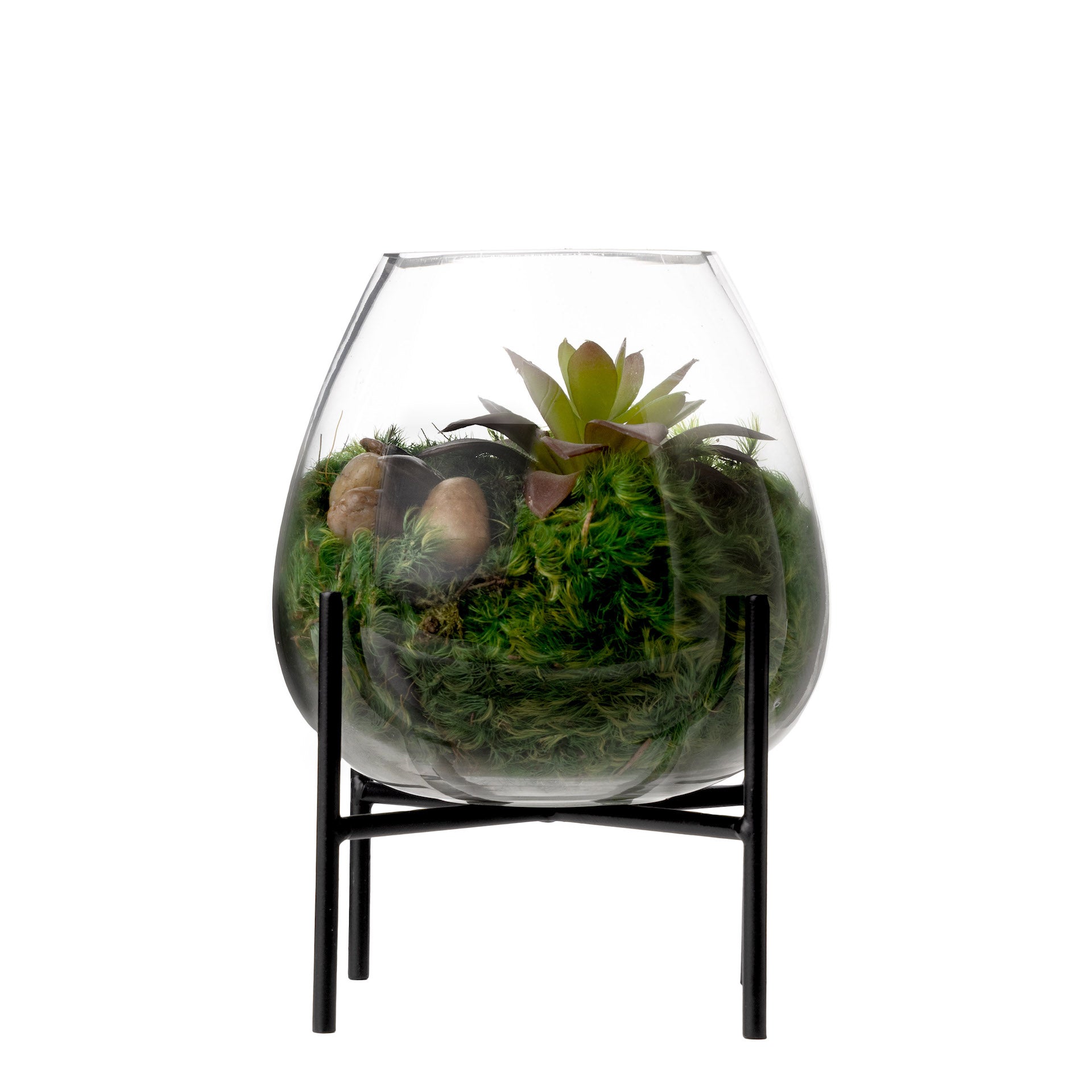8" Carl Glass Vase with Succulent Arrangement   AR1600