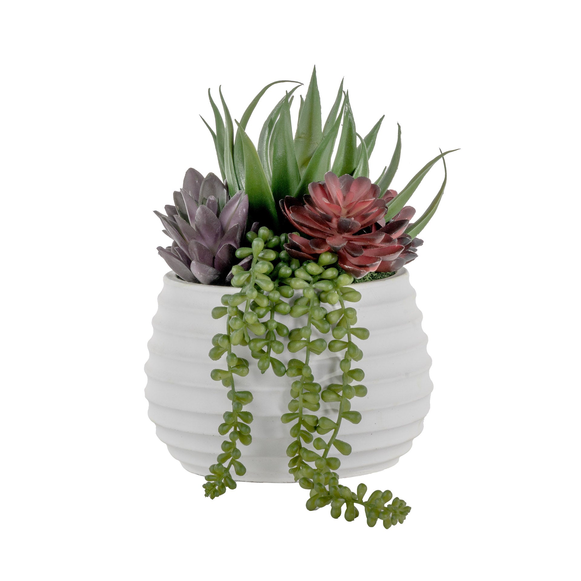 Zay Pot with Succulent Arrangement AR1603