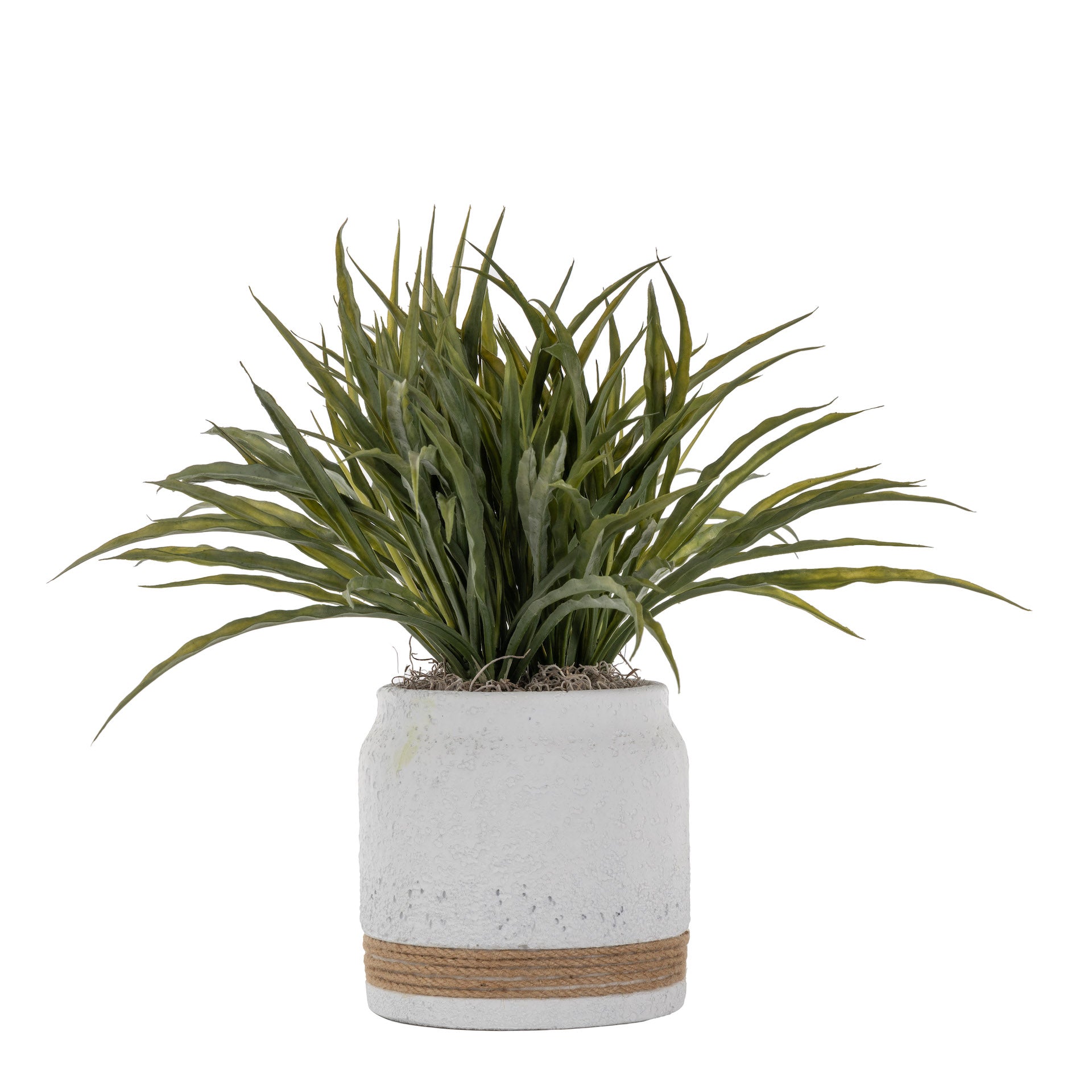 6.5" Nash Pot with Grass Arrangement AR1620