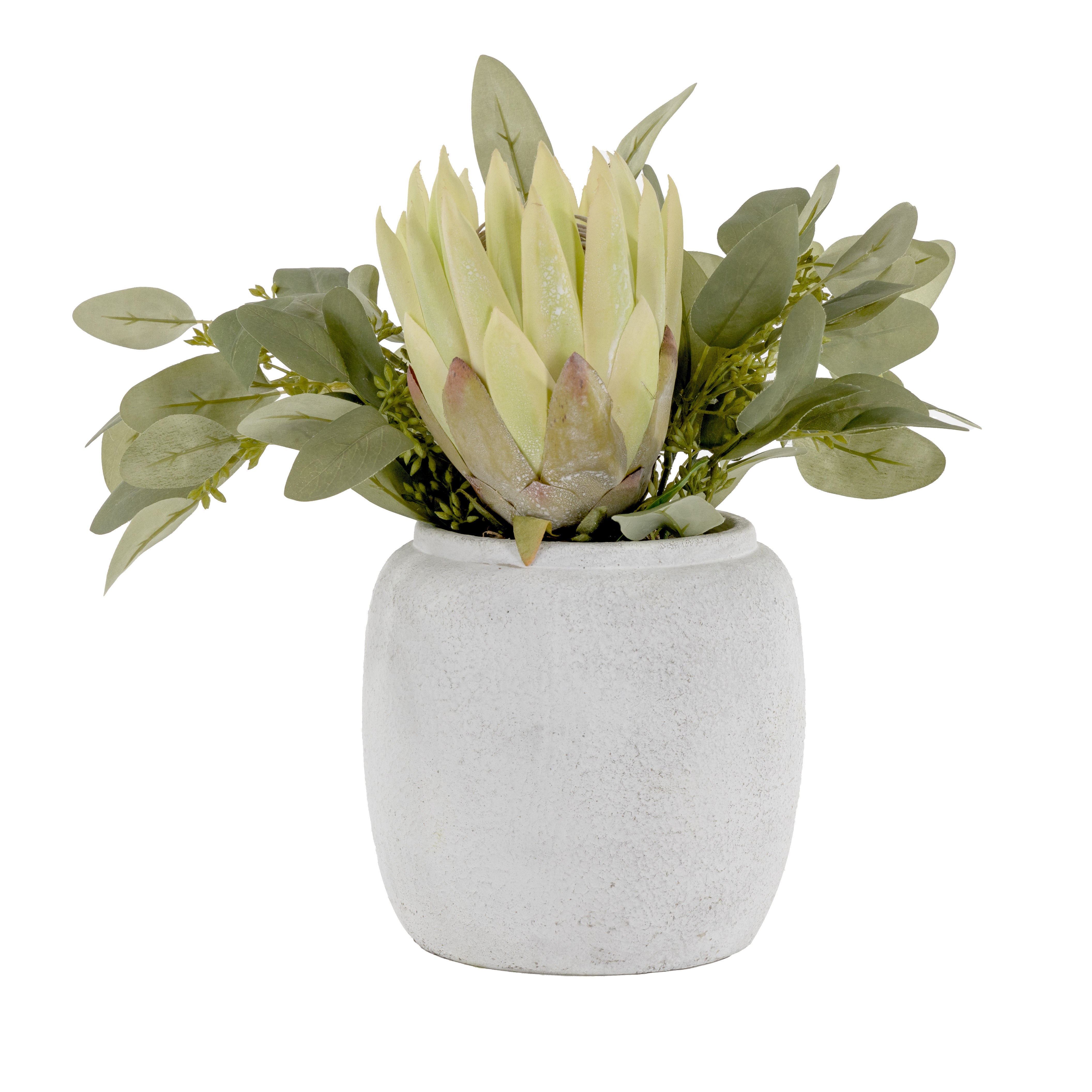 6.5" Tyberious Pot with King Protea Arrangement AR1623