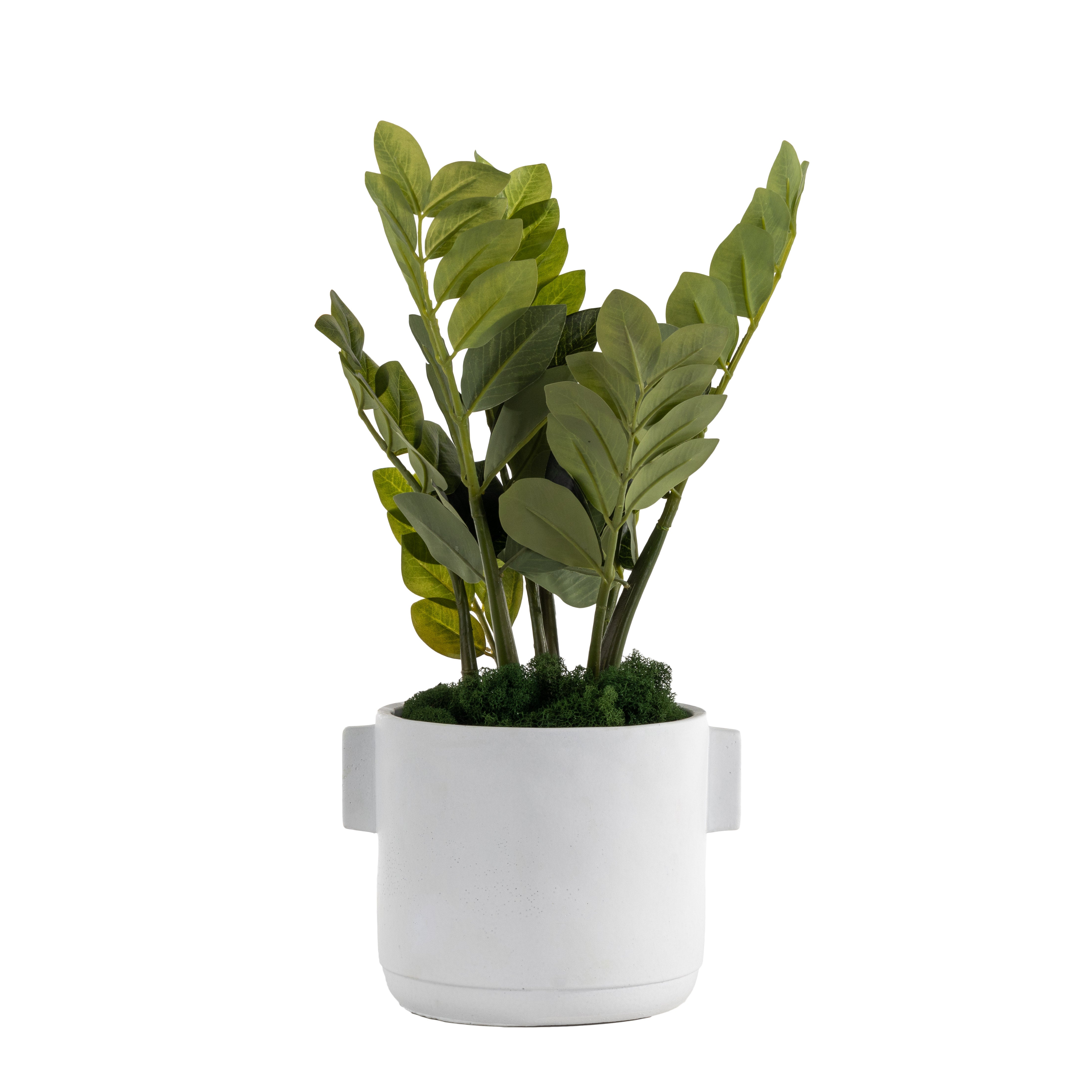 7" Watson Pot with ZZ Arrangement AR1630