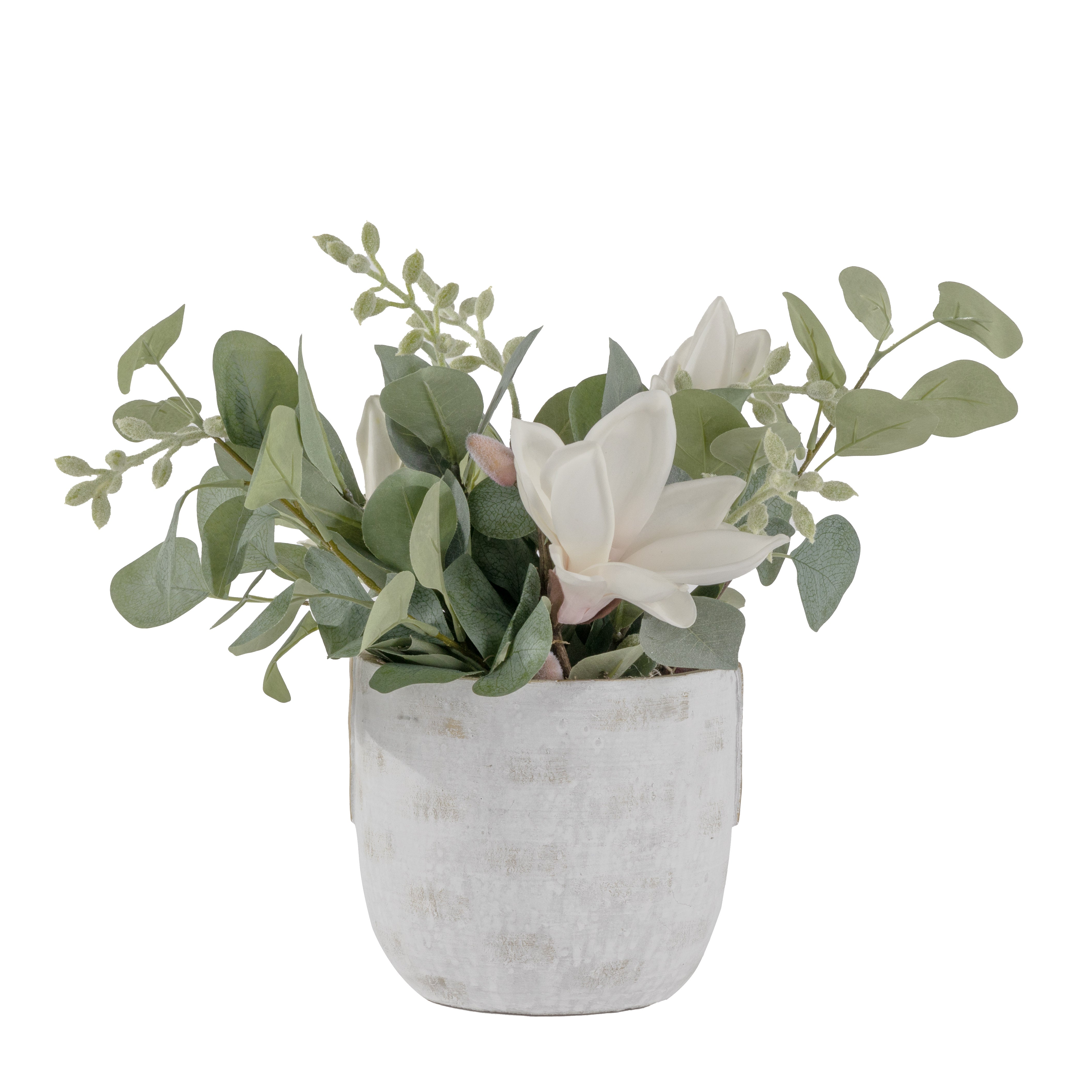6" Callista Pot with Magnolia Arrangement AR1632