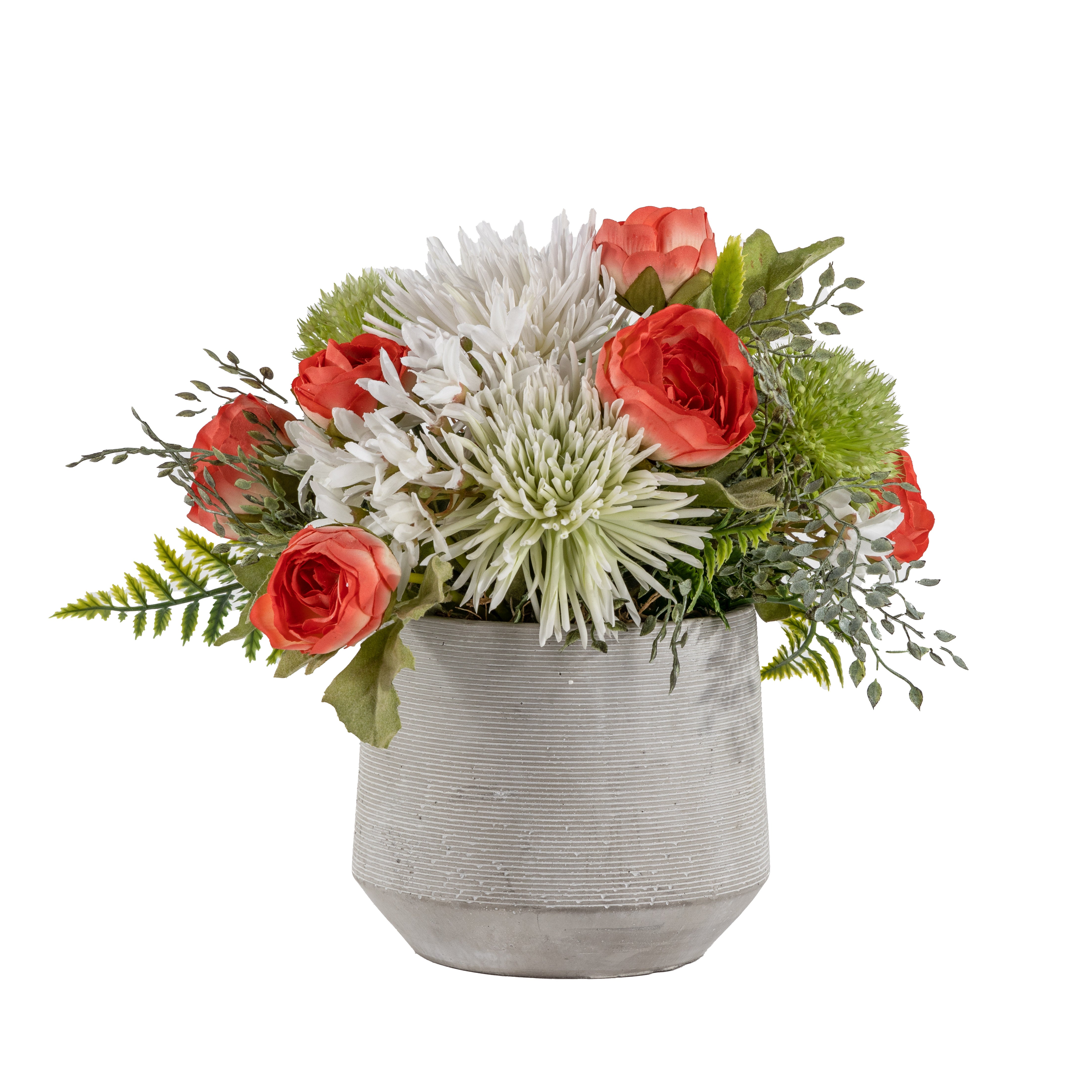 5" Mabel Pot with Ranunculus Arrangement AR1633