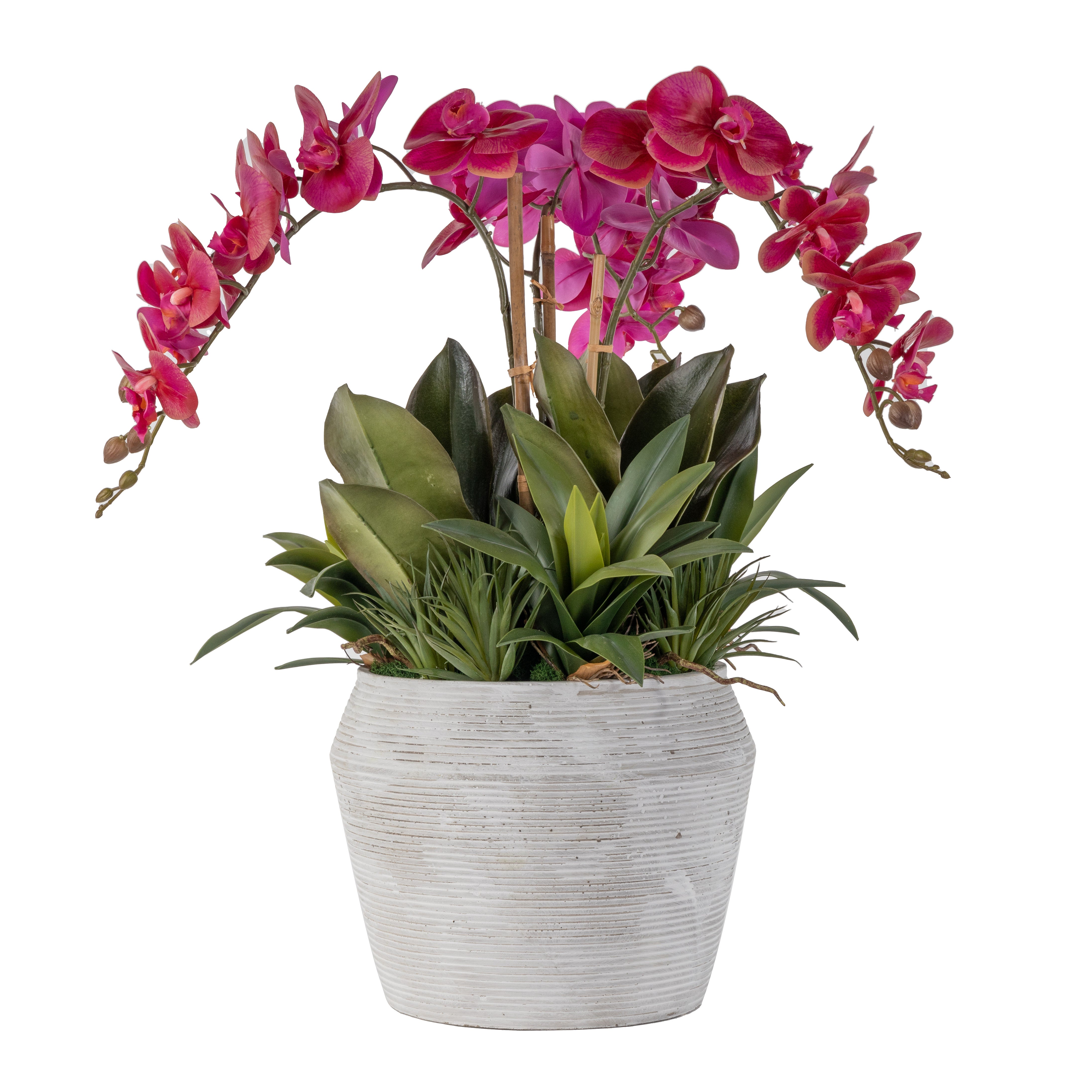 10" Grayson Pot with Orchid Arrangement AR1637