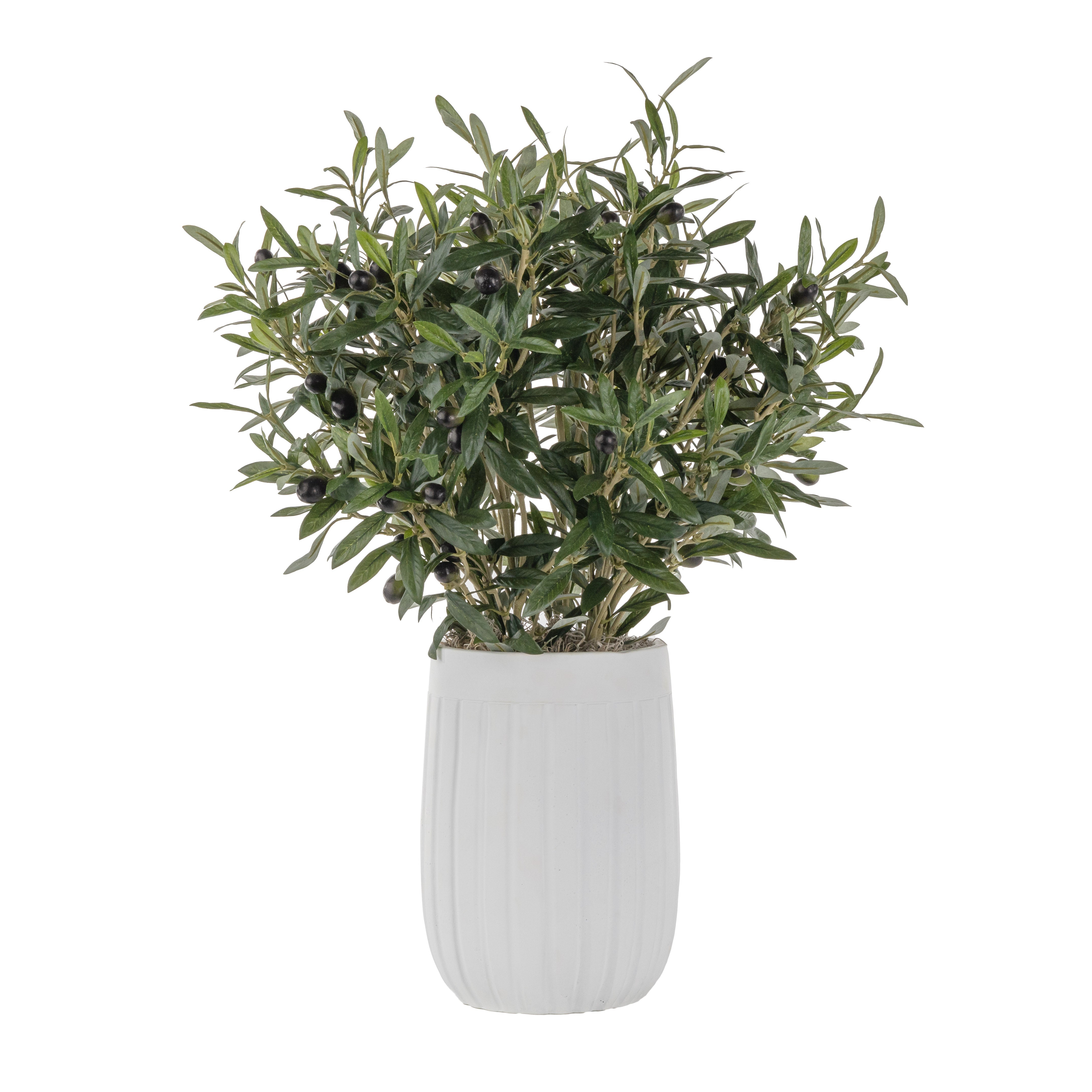 10" Caesar Pot with Olive Arrangement AR1639