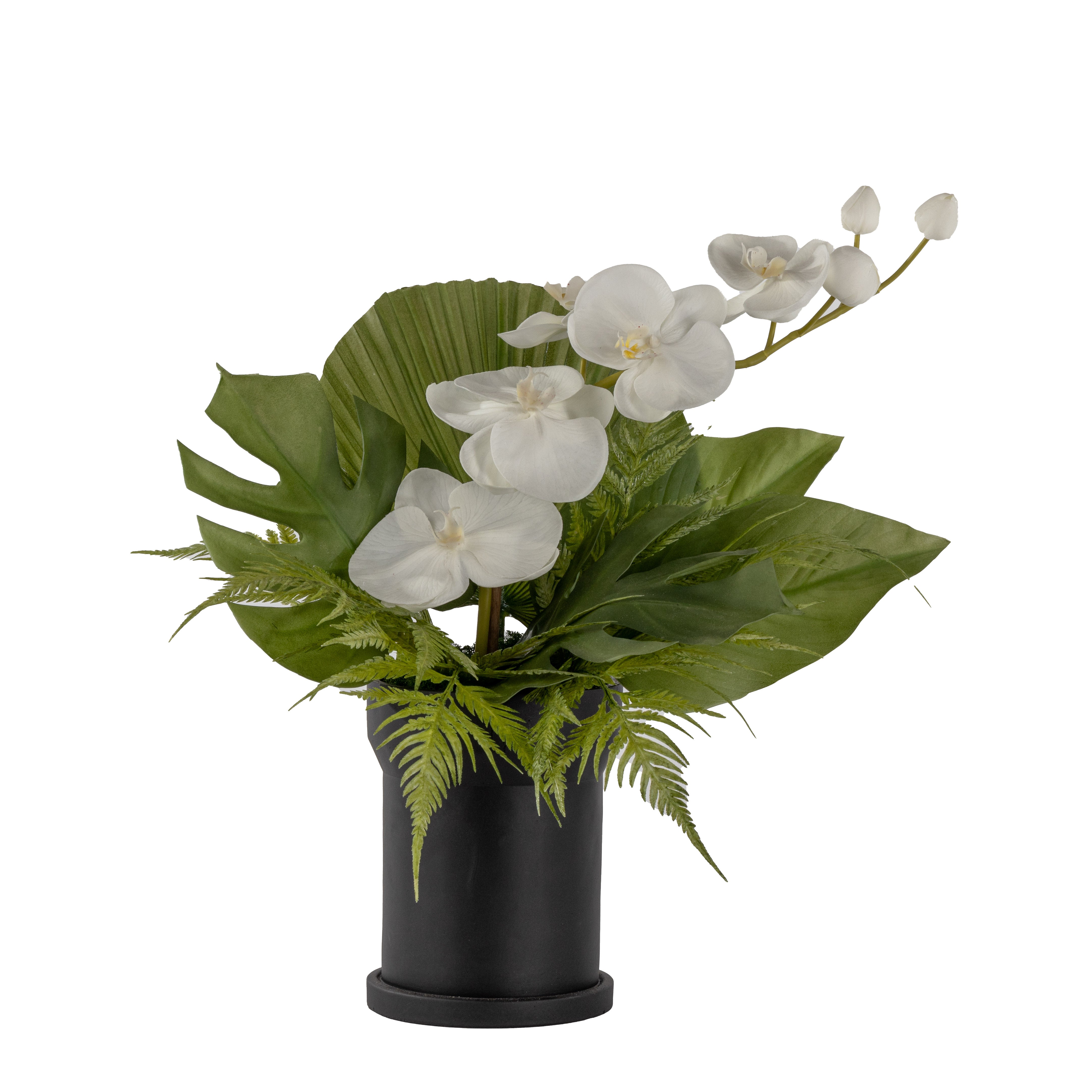 8" Black Rook Pot with Orchid Arrangement AR1645
