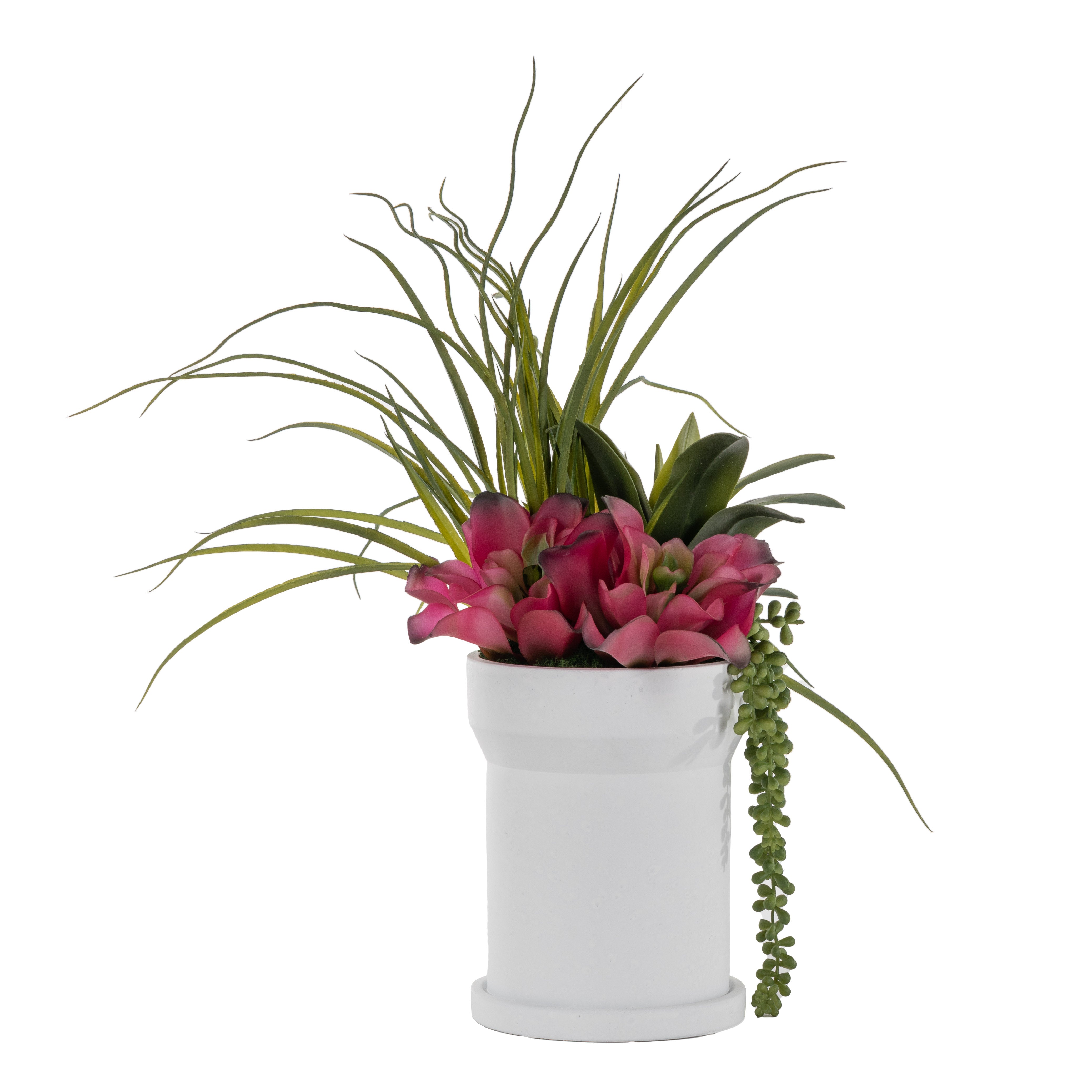 8" White Rook Pot with Succulent Arrangement AR1648