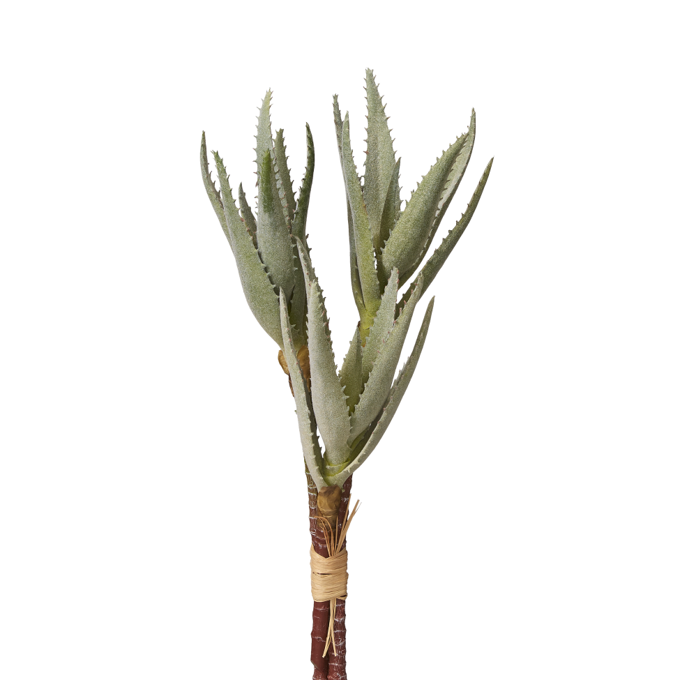 16" Aloe Stem-3 Heads AV1007