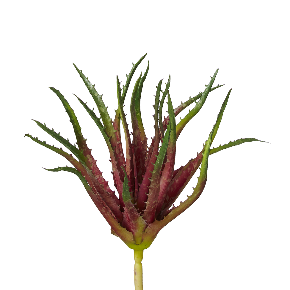 10" Aloe Stem Red AV1013