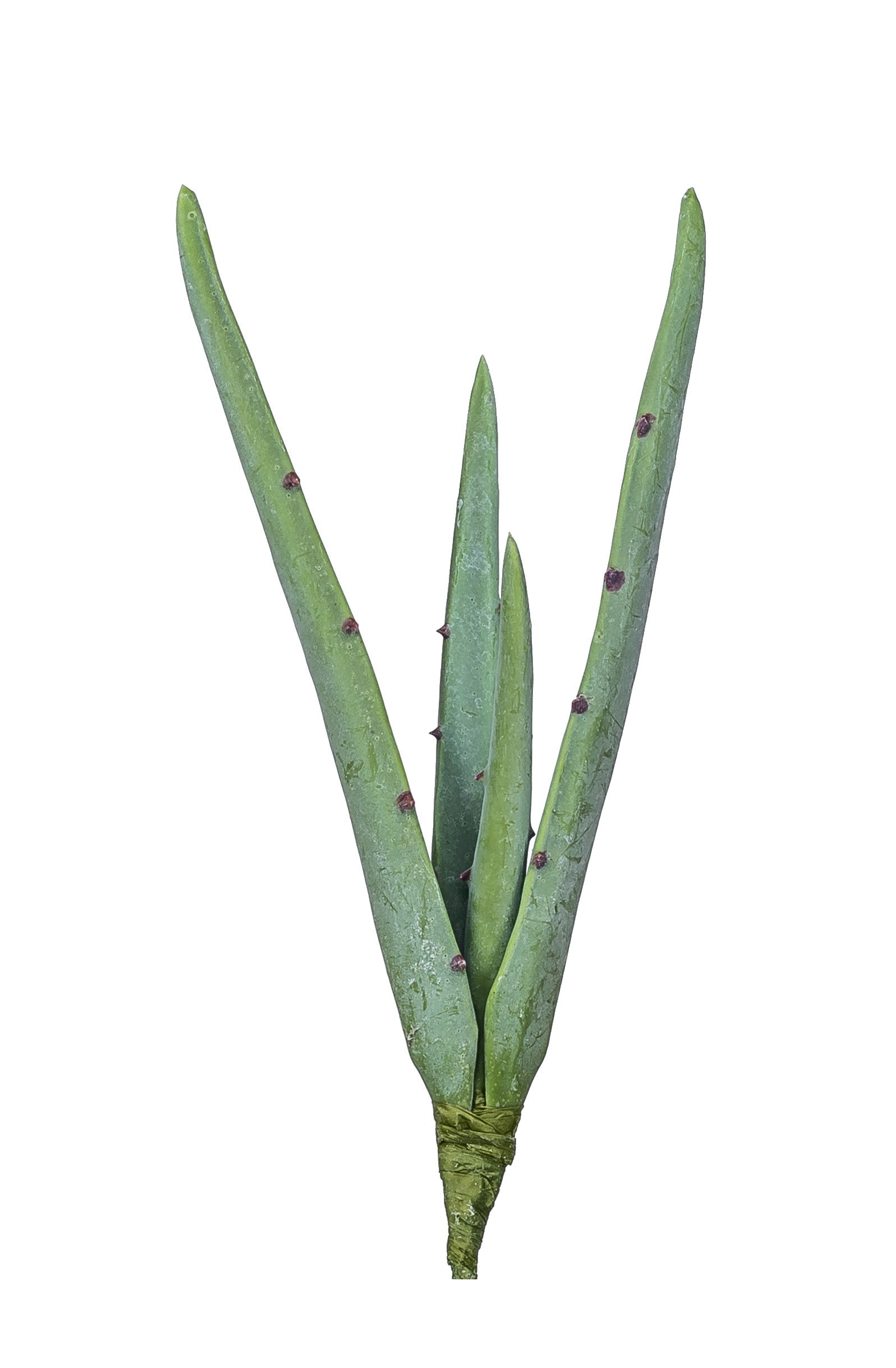 12" Aloe Stem  AV1014