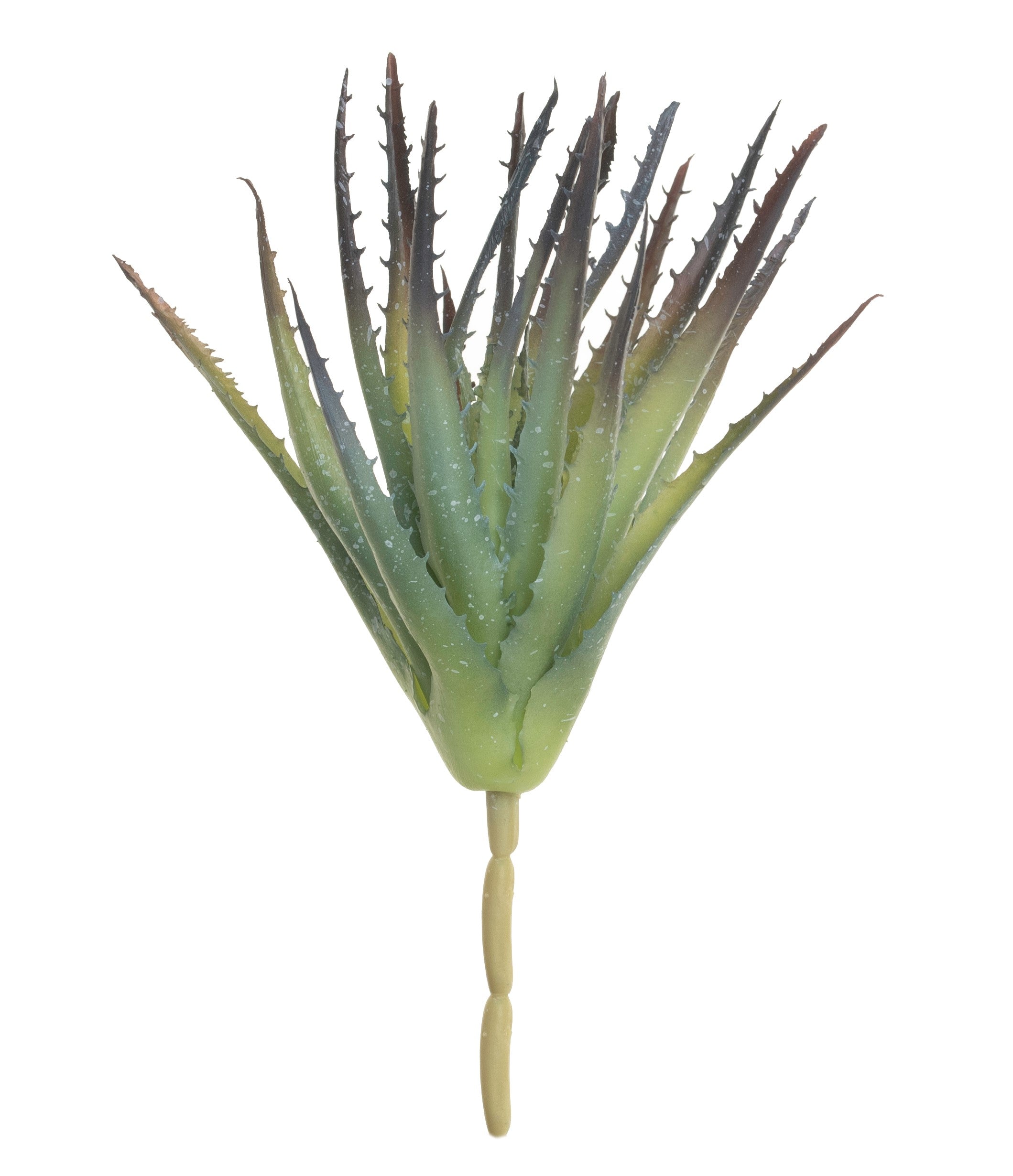 11" Aloe Stem with Red Tips   AV1025