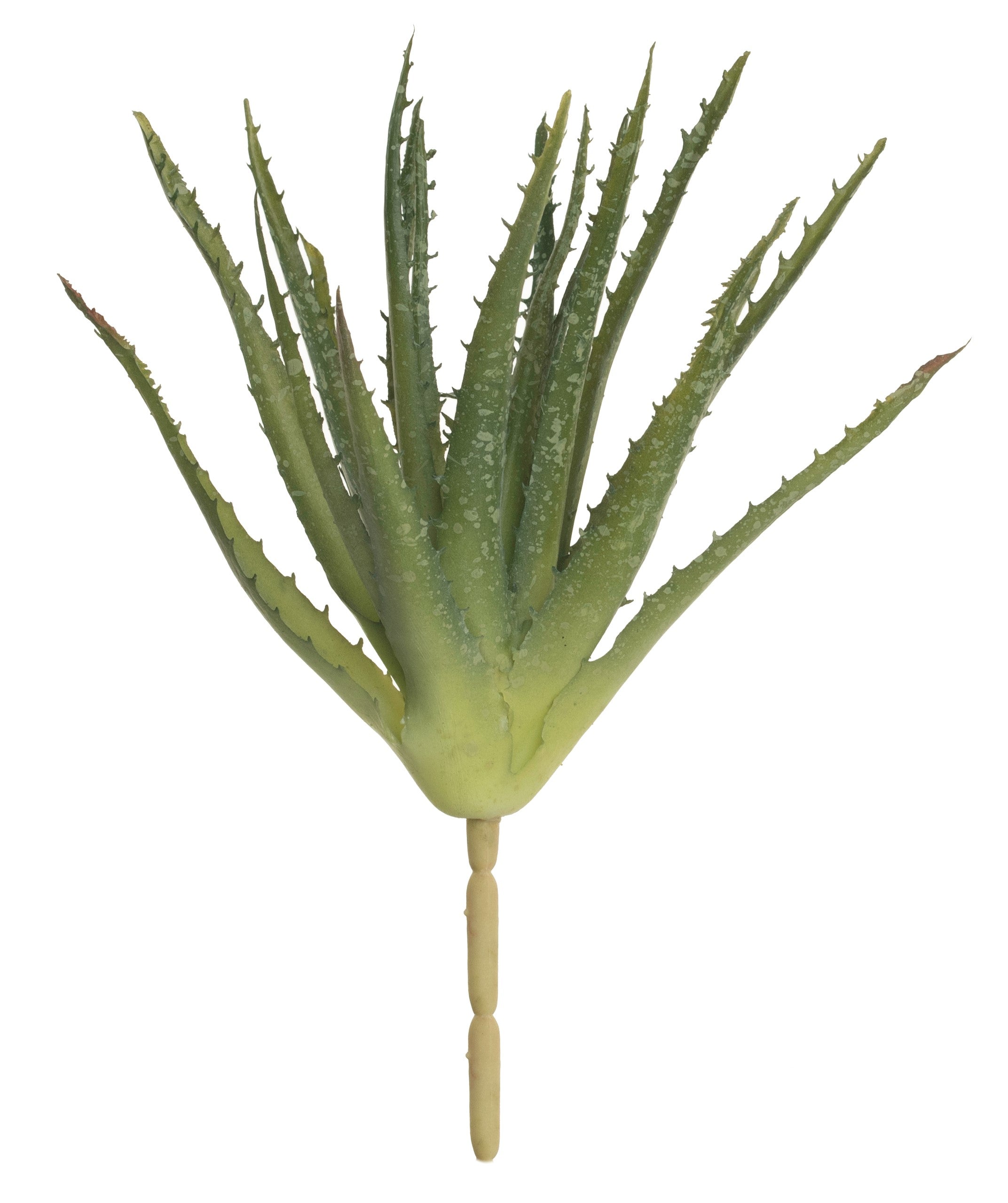 10" Aloe Stem AV1026