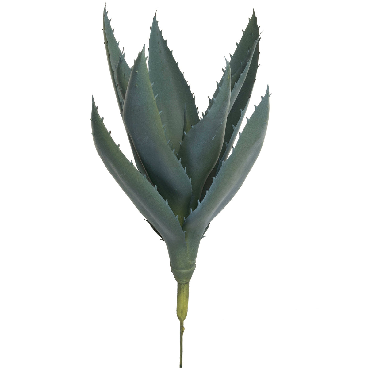 13" Aloe Stem AV1029