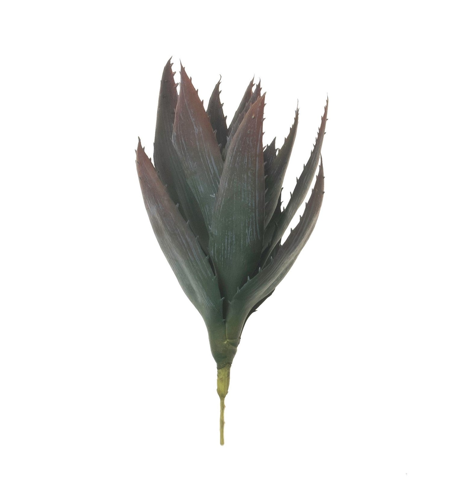 10" Aloe Stem Burgundy/Green AV1031