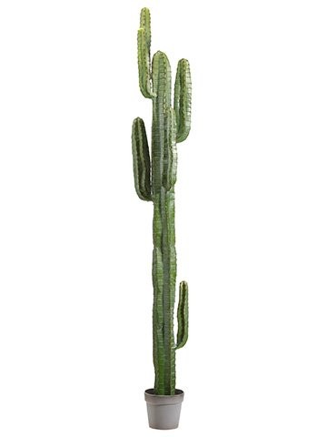 6.5' Cactus Tree FP1073