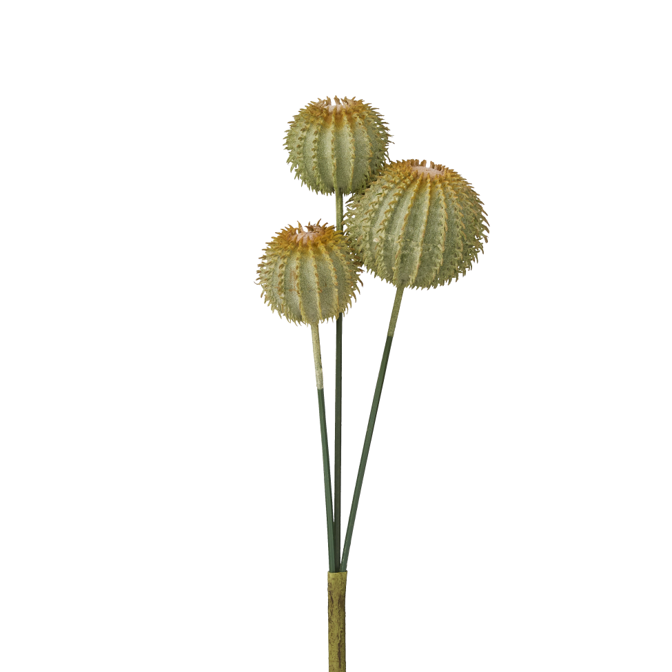 14" Barrel Cactus-3 Heads Yellow CC1001