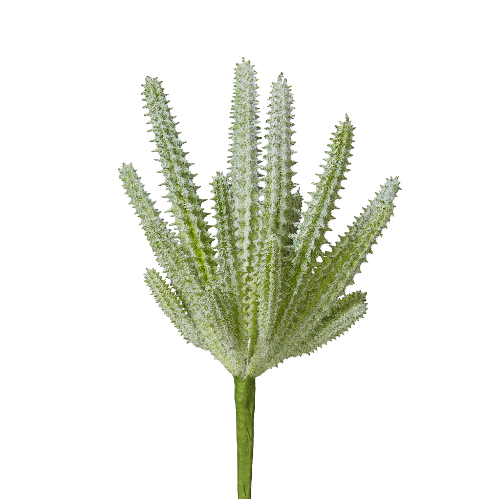 6" Cactus Pick-Grey CC1002