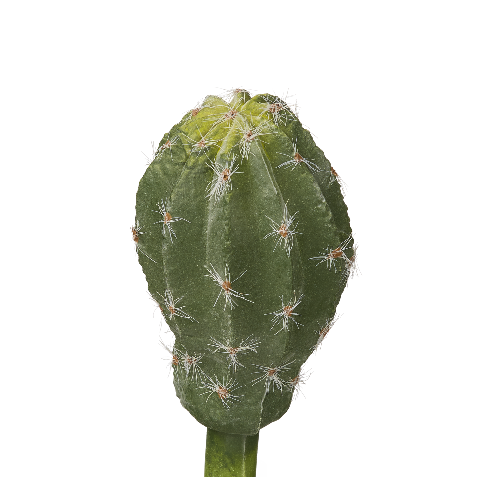 5" Cactus Pick CC1003