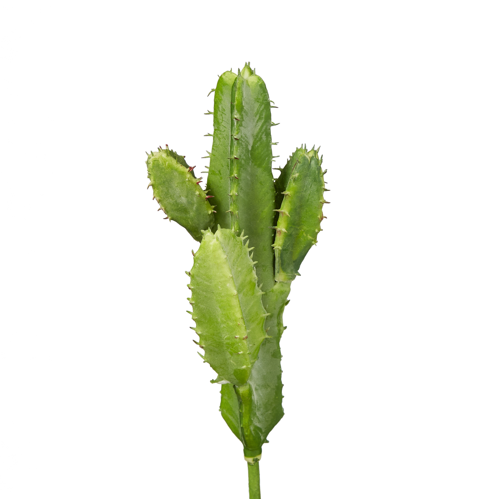 7" Cactus Pick CC1005