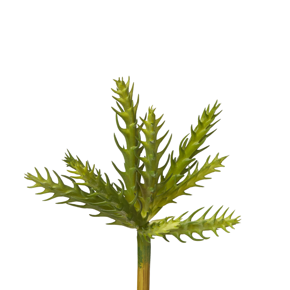 7" Cactus Pick CC1006