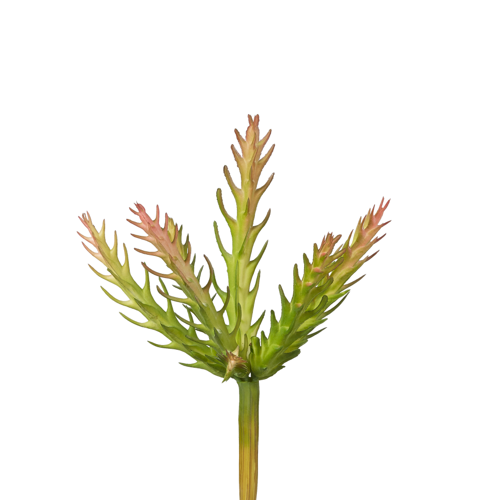 7" Cactus Pick-Red Tips CC1007