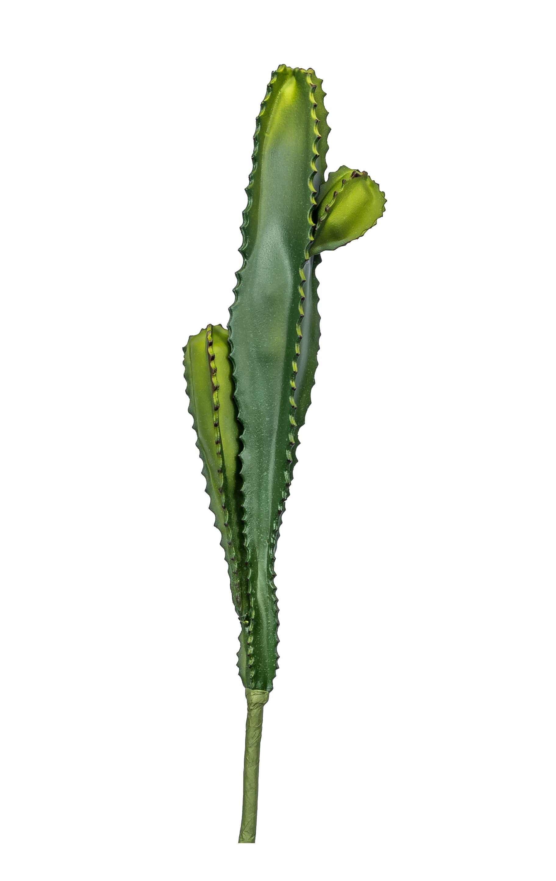 22” Cactus 3 Heads CC1011