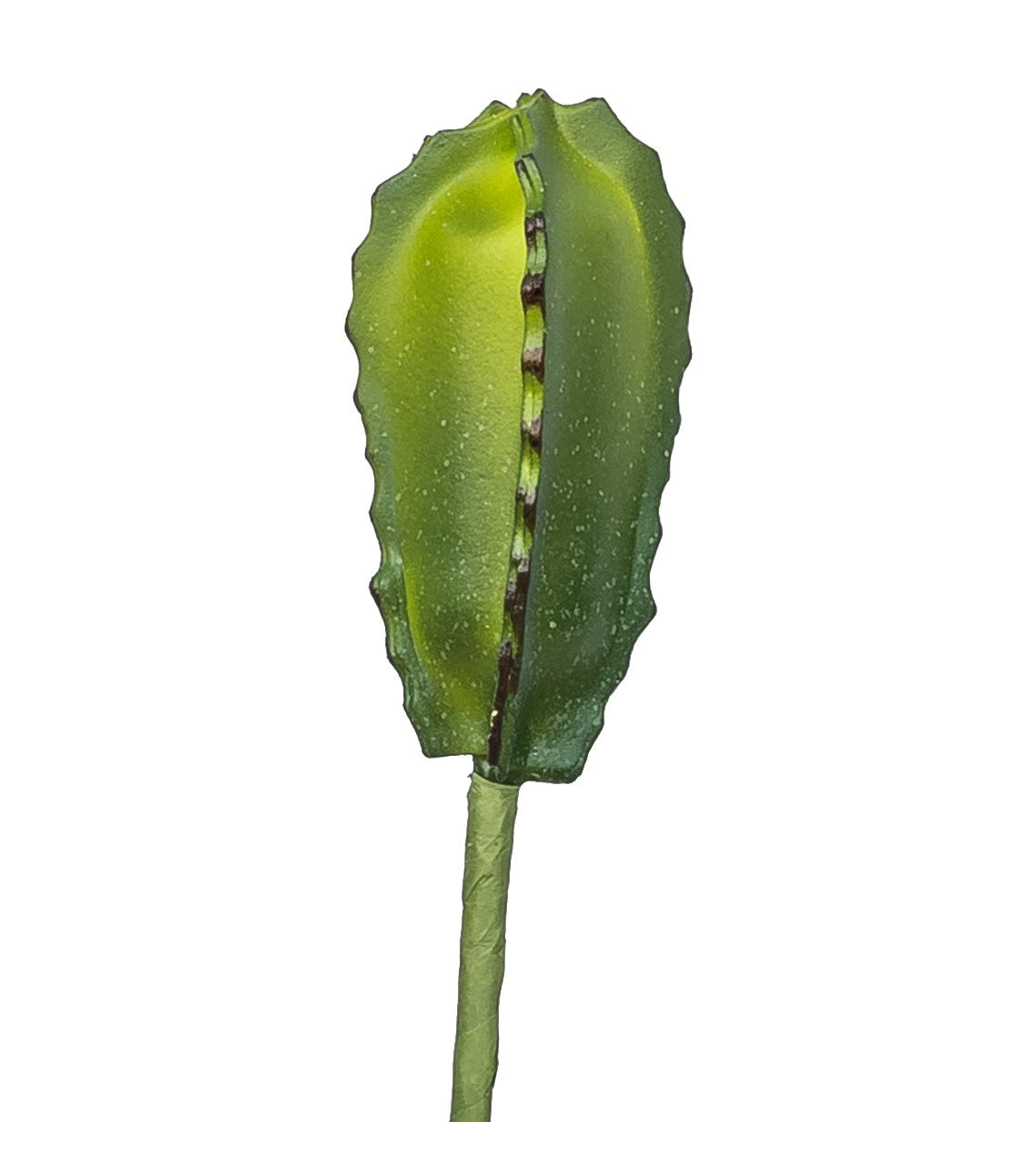 7” Cactus Pick CC1013