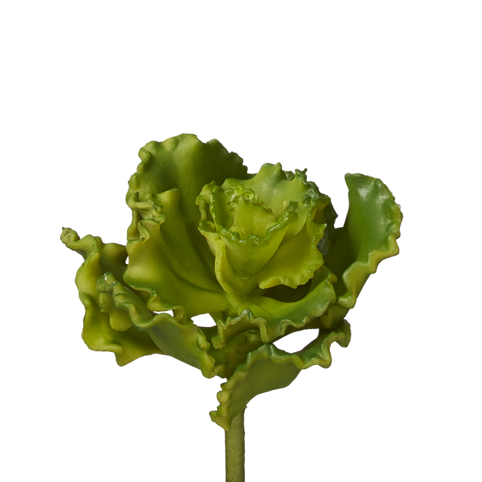 10" Curly Echeveria Stem SF1021