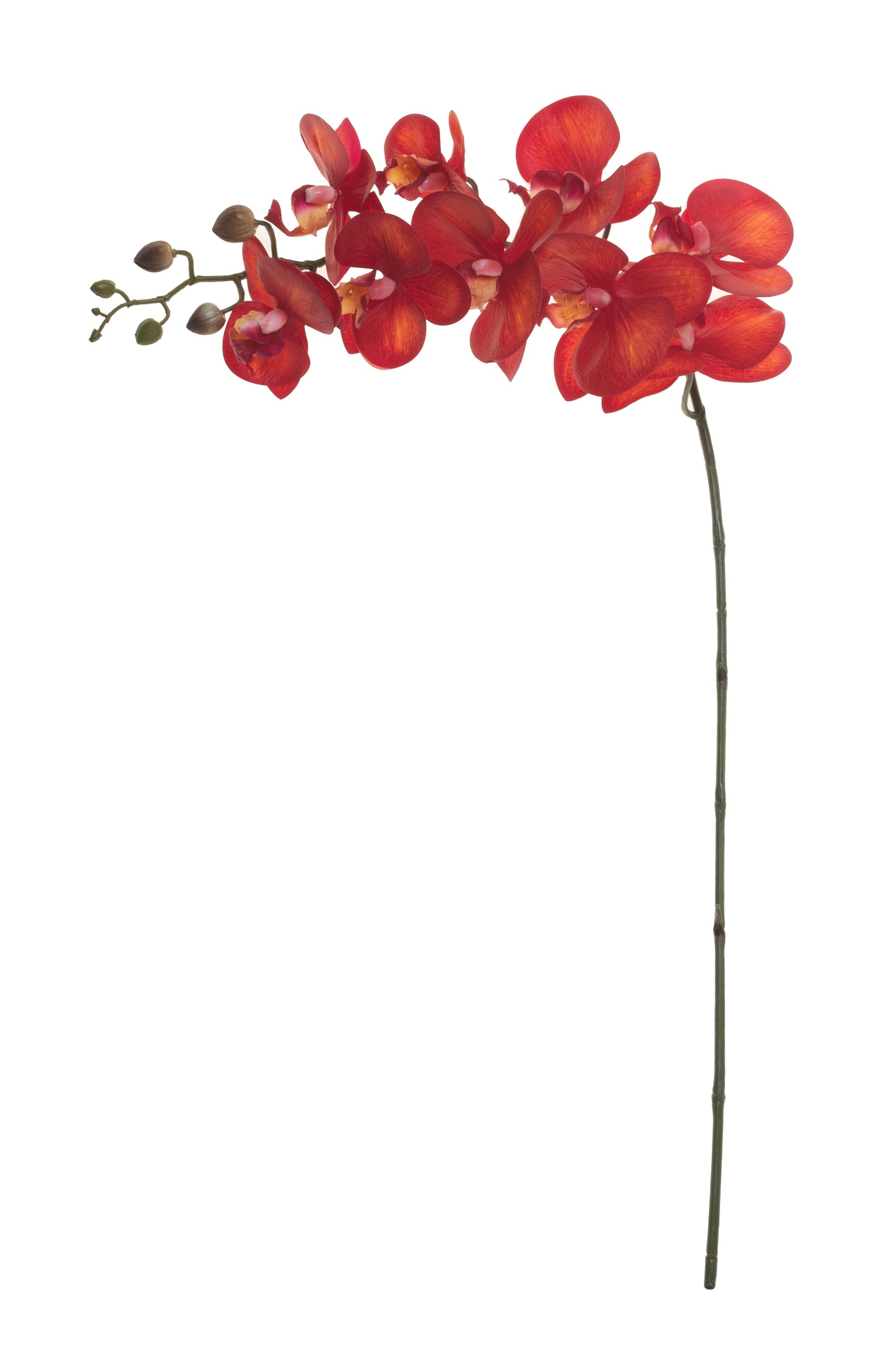 34" Real Touch Phalaenopsis- Red   FL1018
