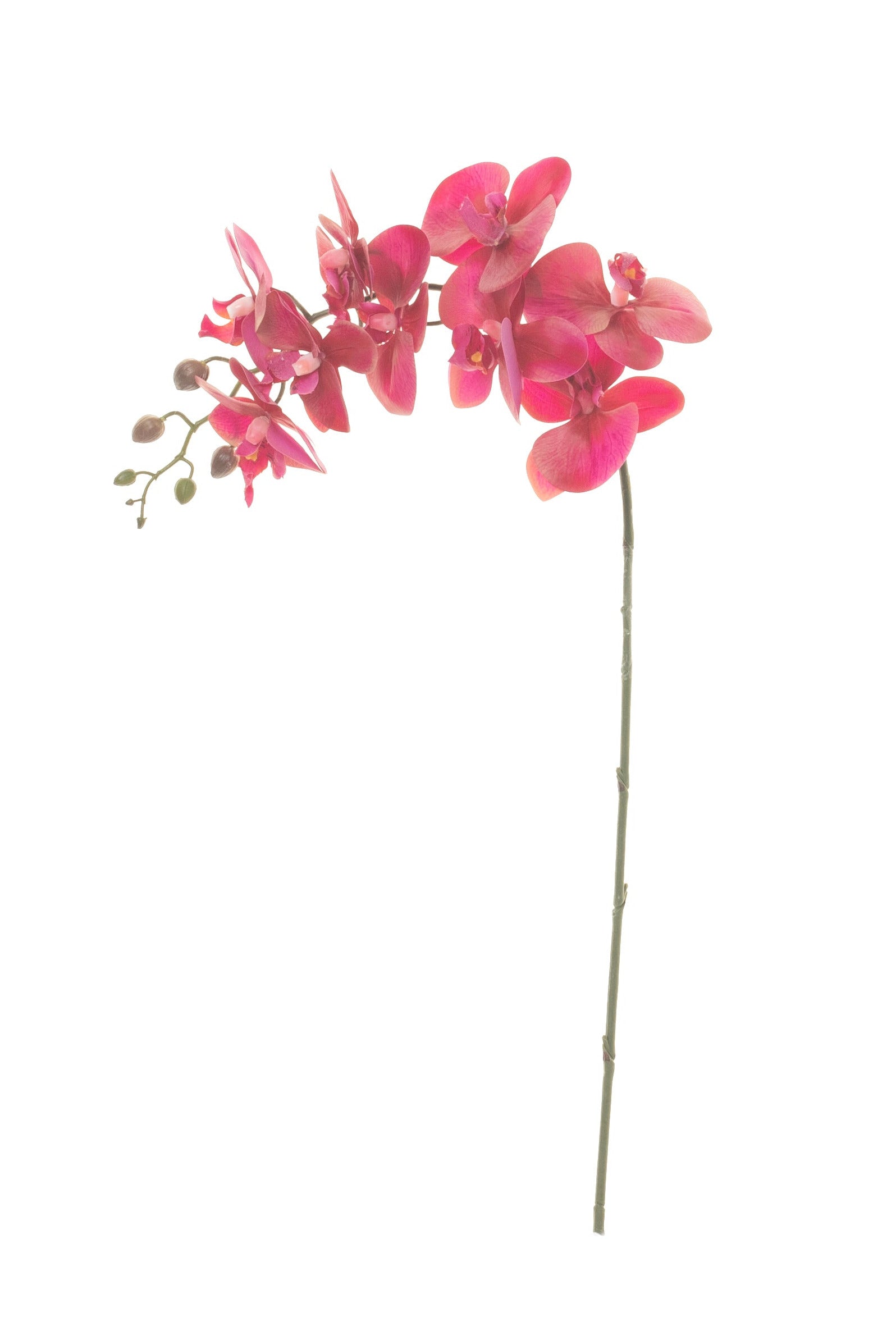 33" Real Touch Phalaenopsis Orchid - Purple FL1019