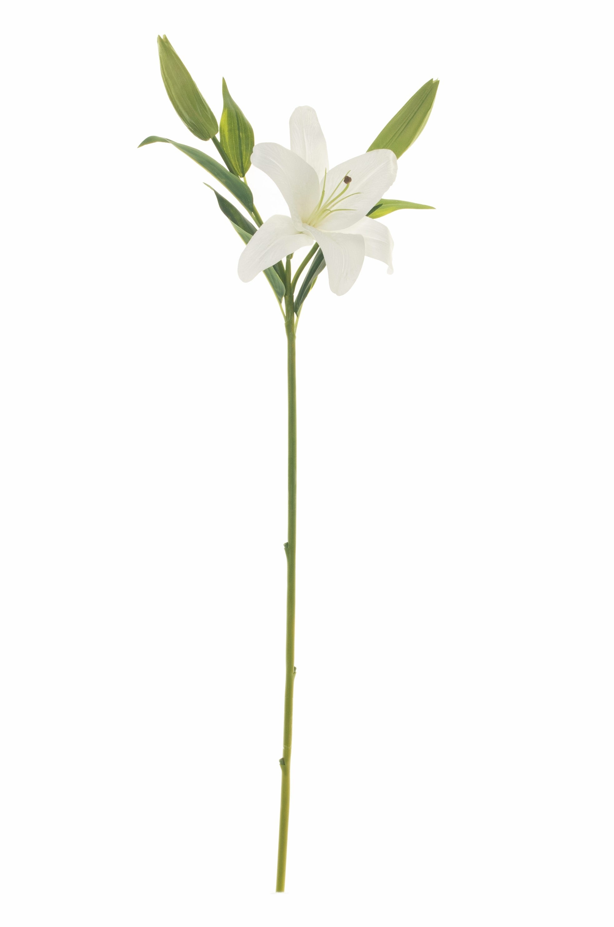 33" Casablanca Lily FL1029