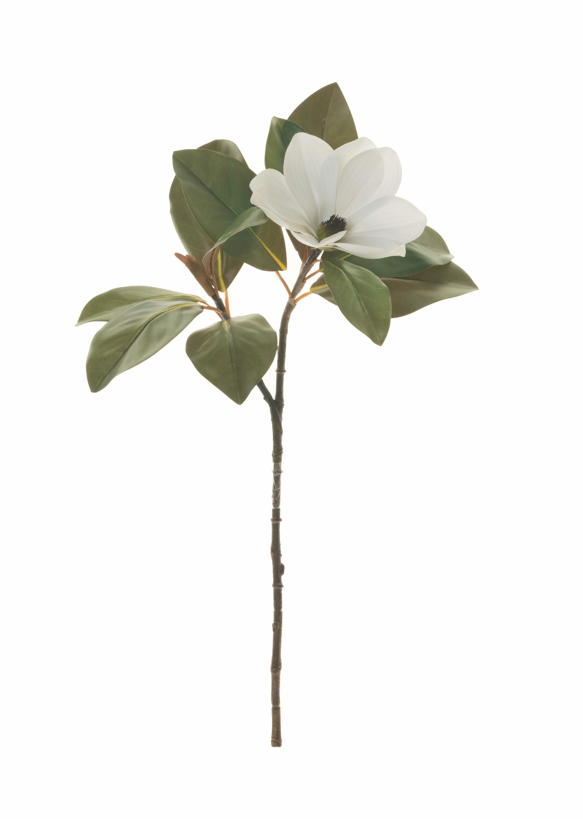 27" Magnolia Stem FL1030