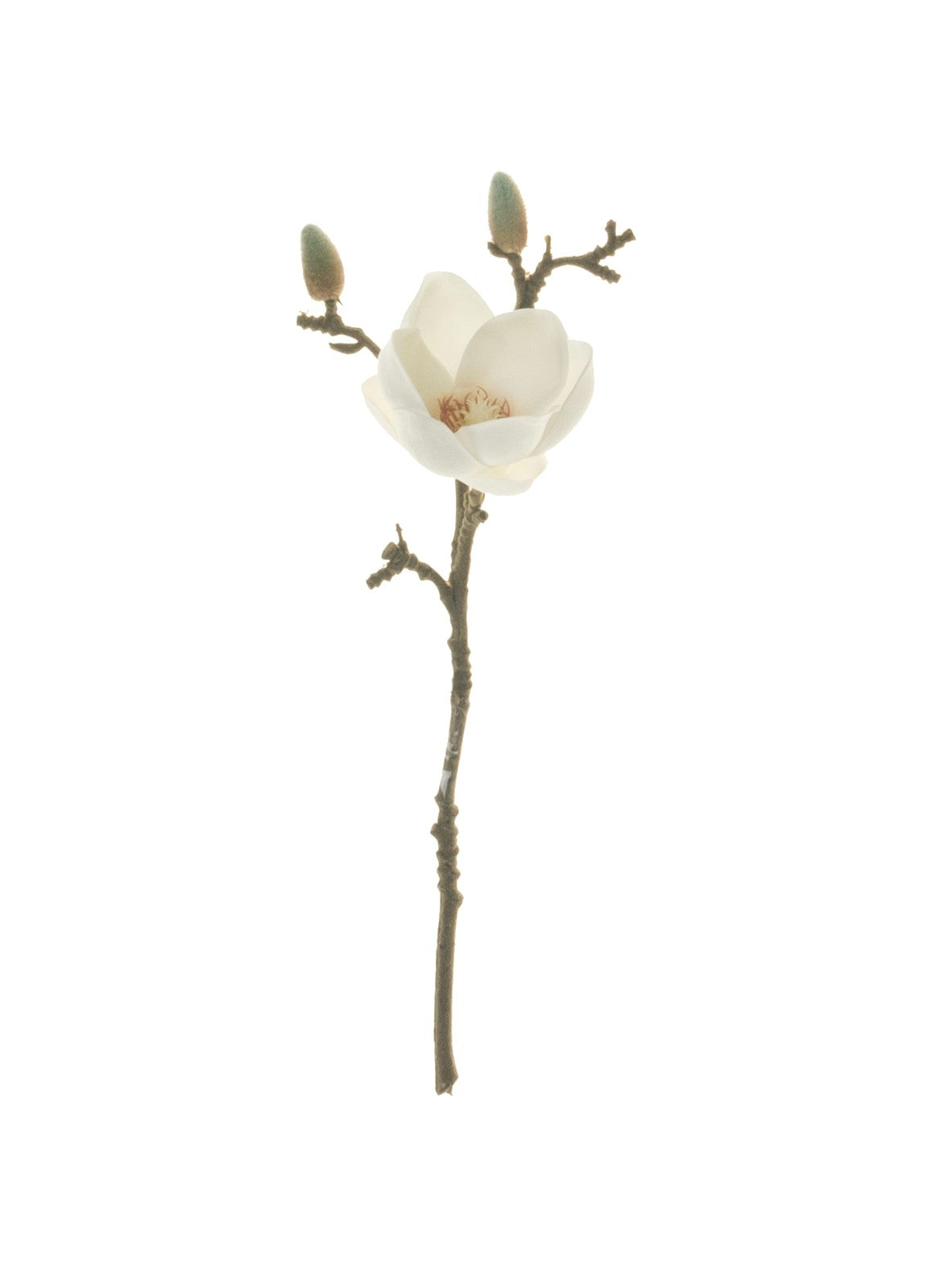 13" White Magnolia Stem FL1042