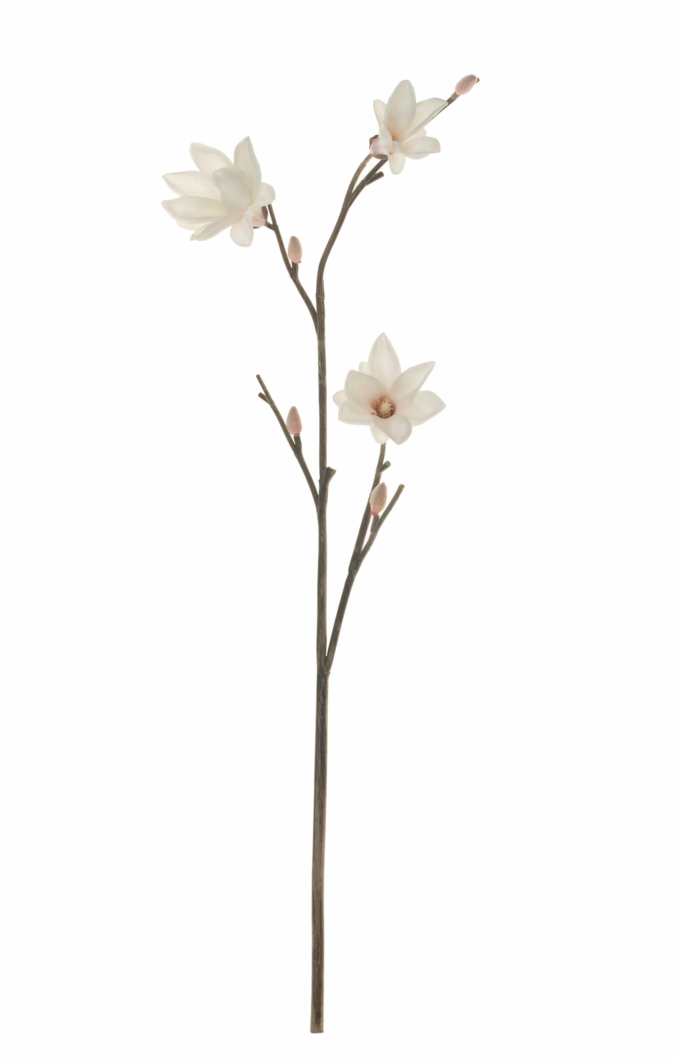 40" Magnolia Stem FL1039
