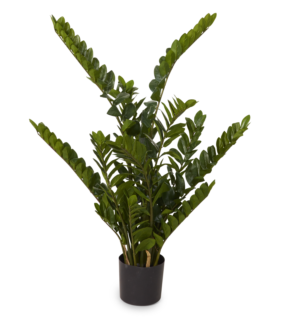 dupla plant basic 4' ZZ Plant FP1037