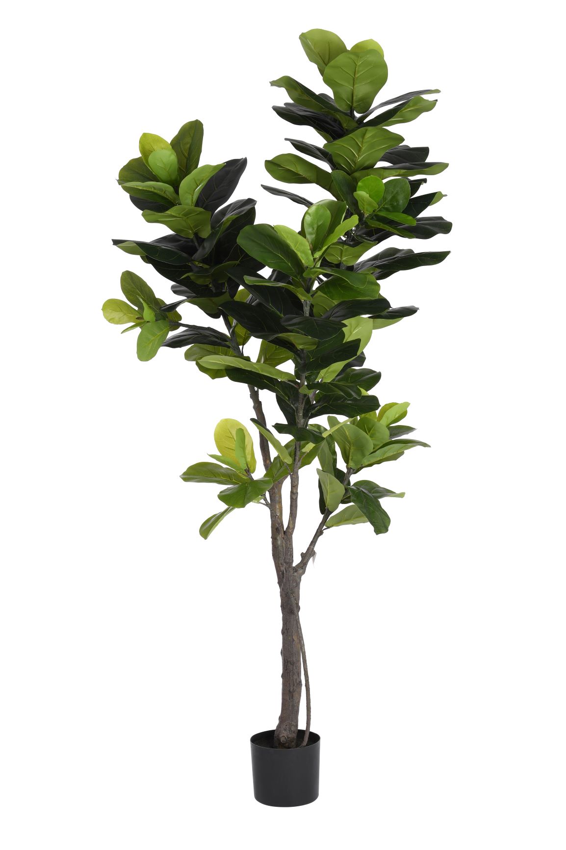 6' faux fiddle leaf fig tree 6' Fiddle Leaf Fig Tree FP1086