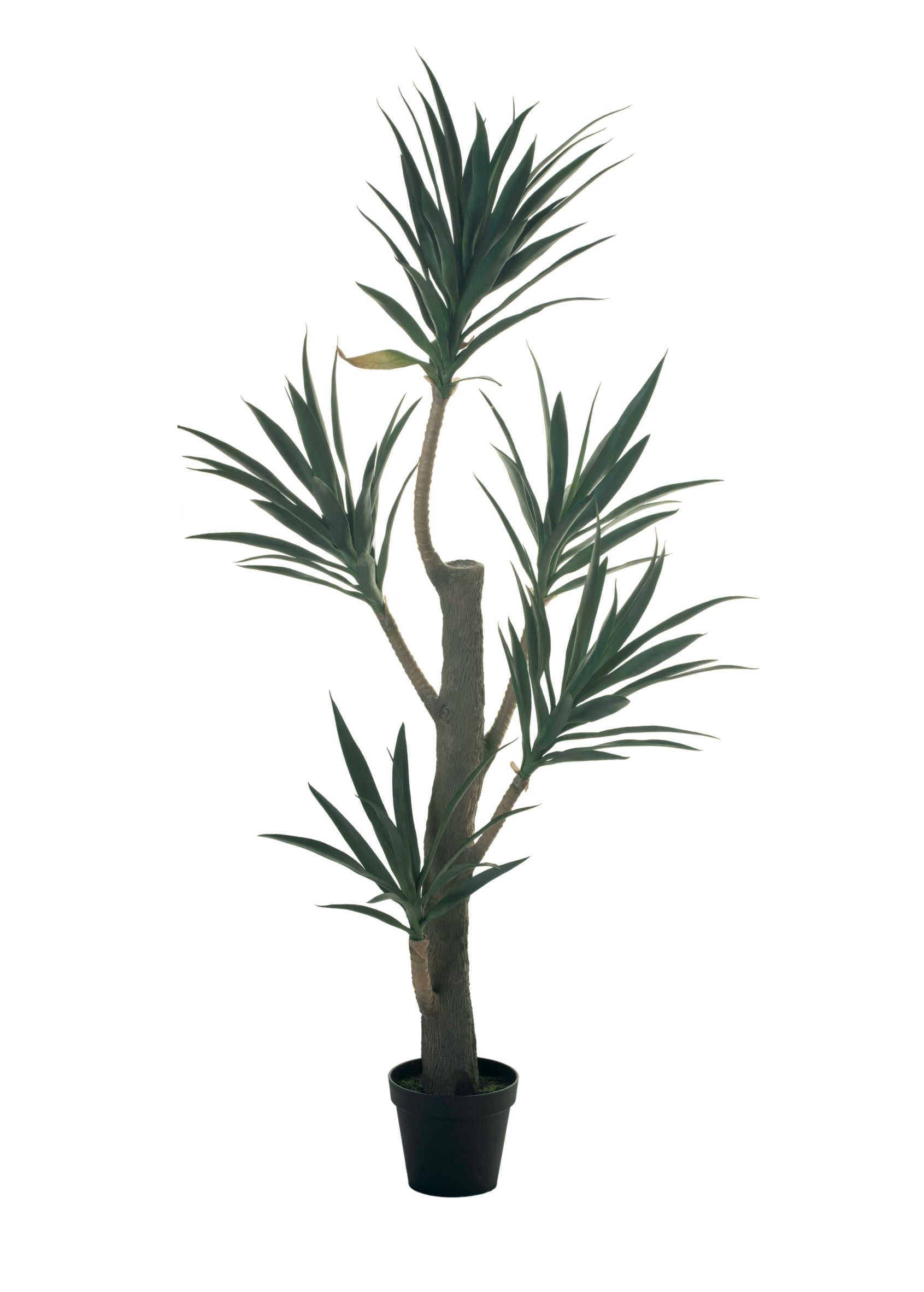 6.5' Yucca Tree - UV Protected FP1107UV