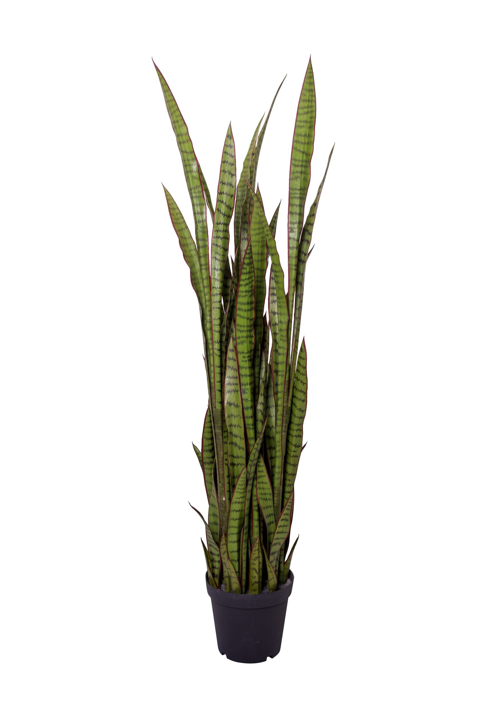faux snake plant in planter 5' Snake Plant-Red Tips FP1258