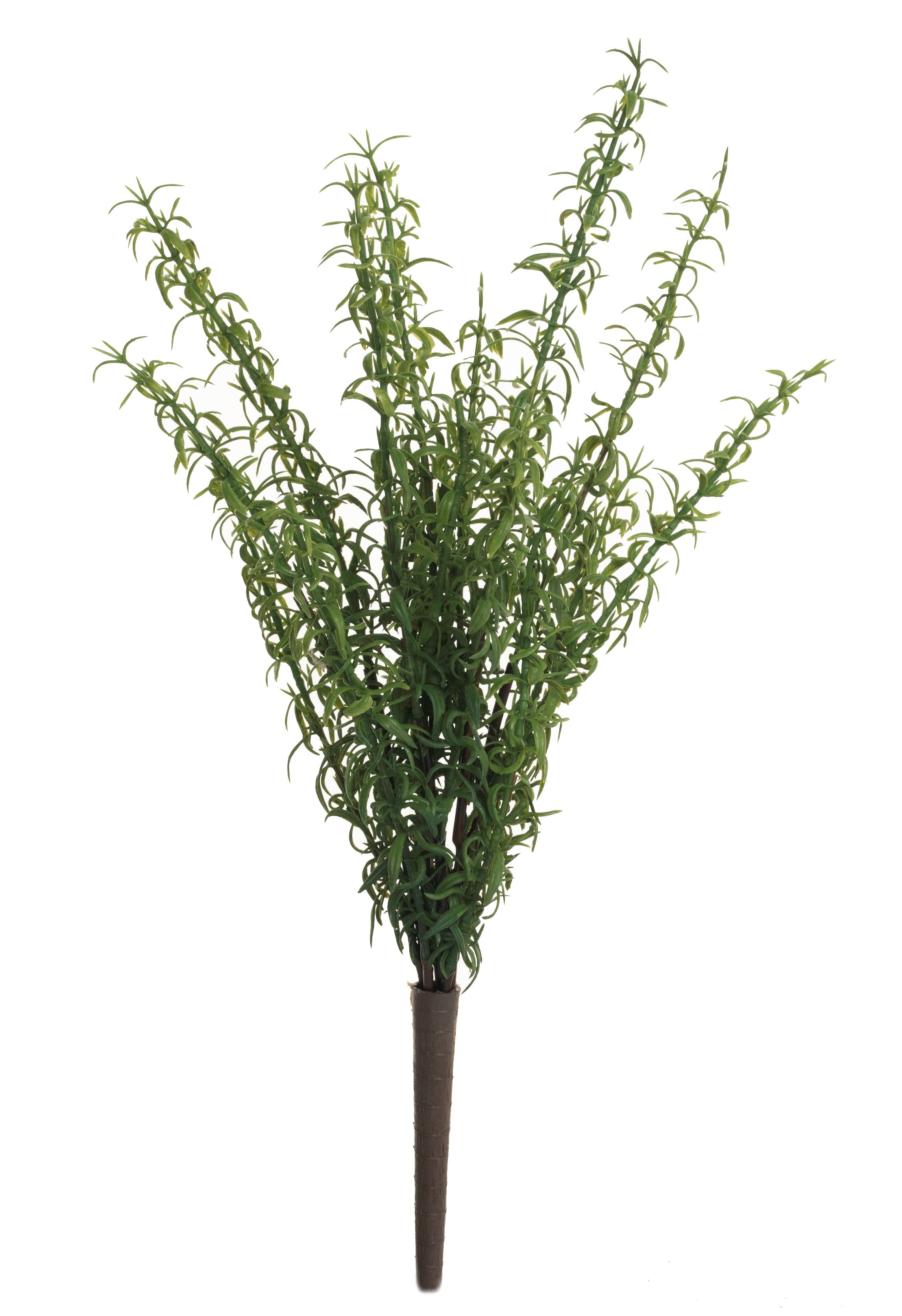 16" Rosemary Fern FR1014