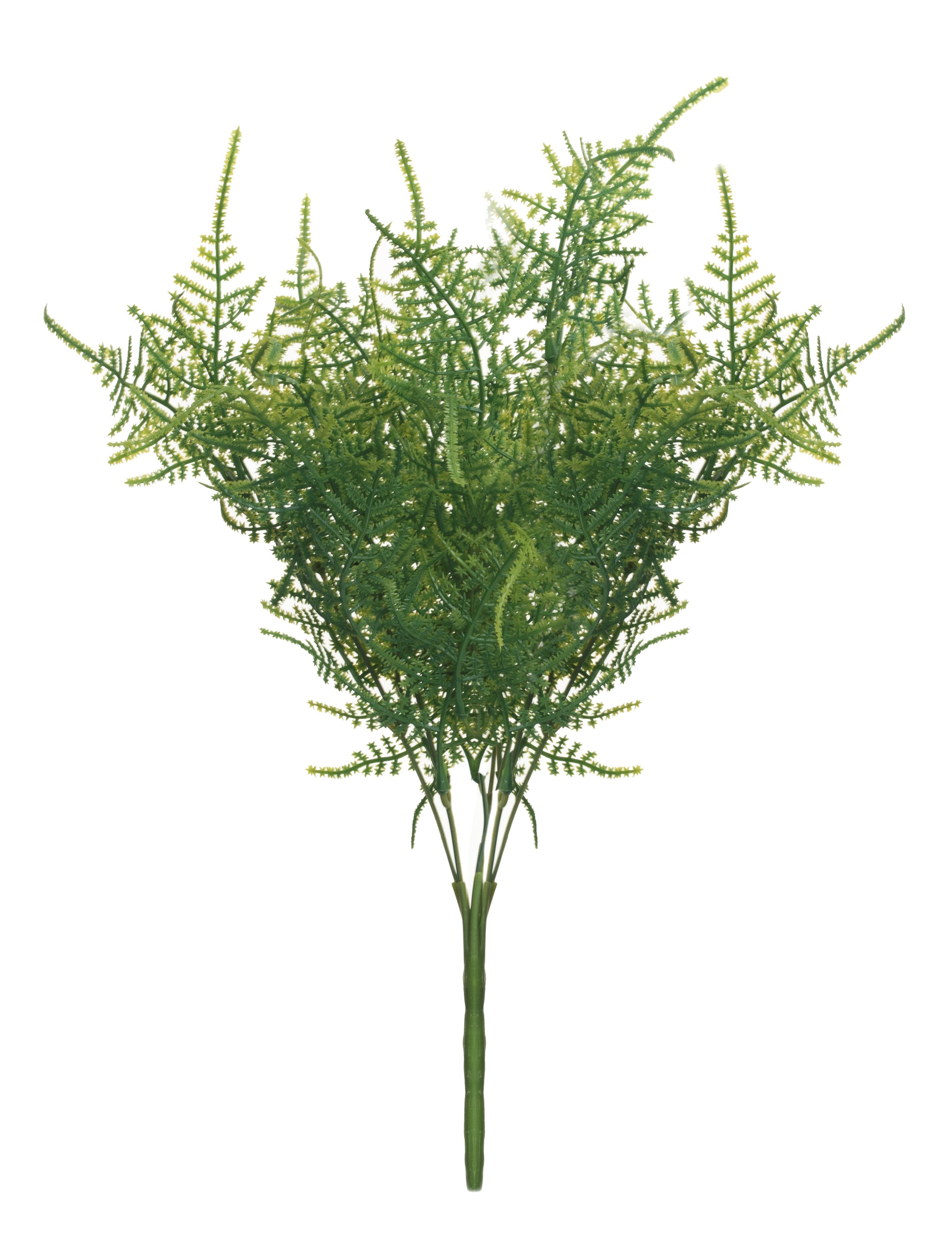 14" Fern FR1017