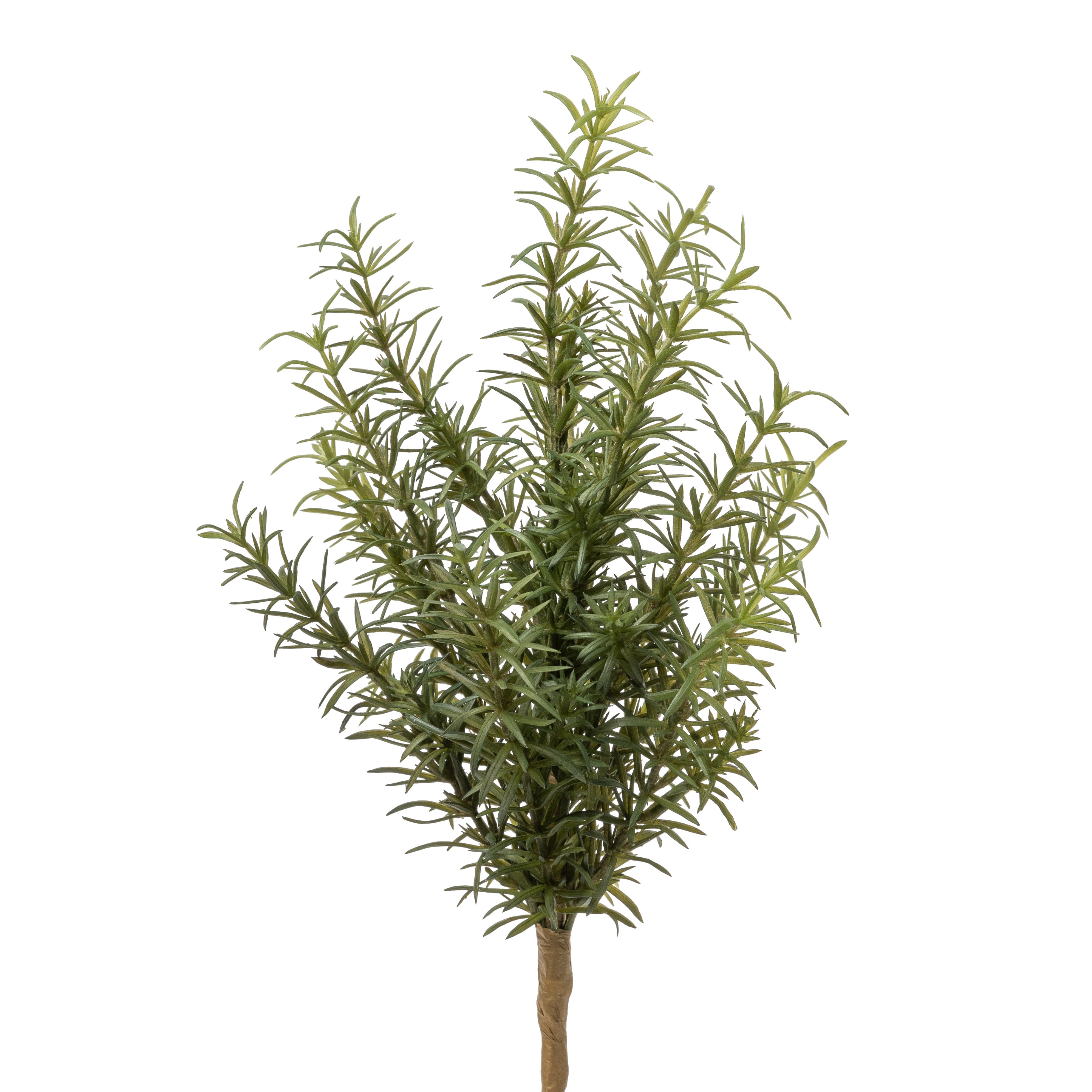 13" Rosemary Fern FR1022
